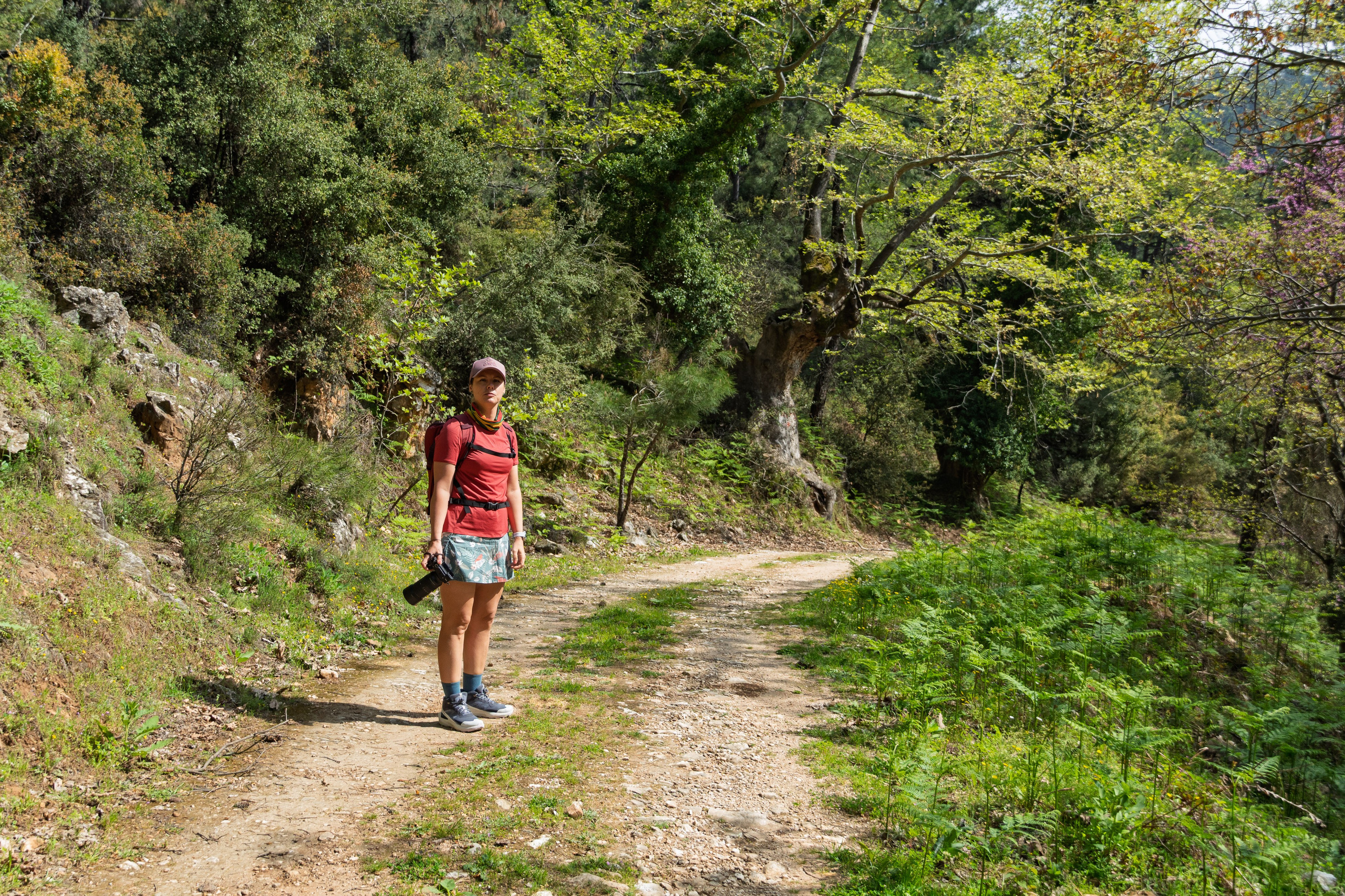 Thasos 2025. Fotografiideplacere.net