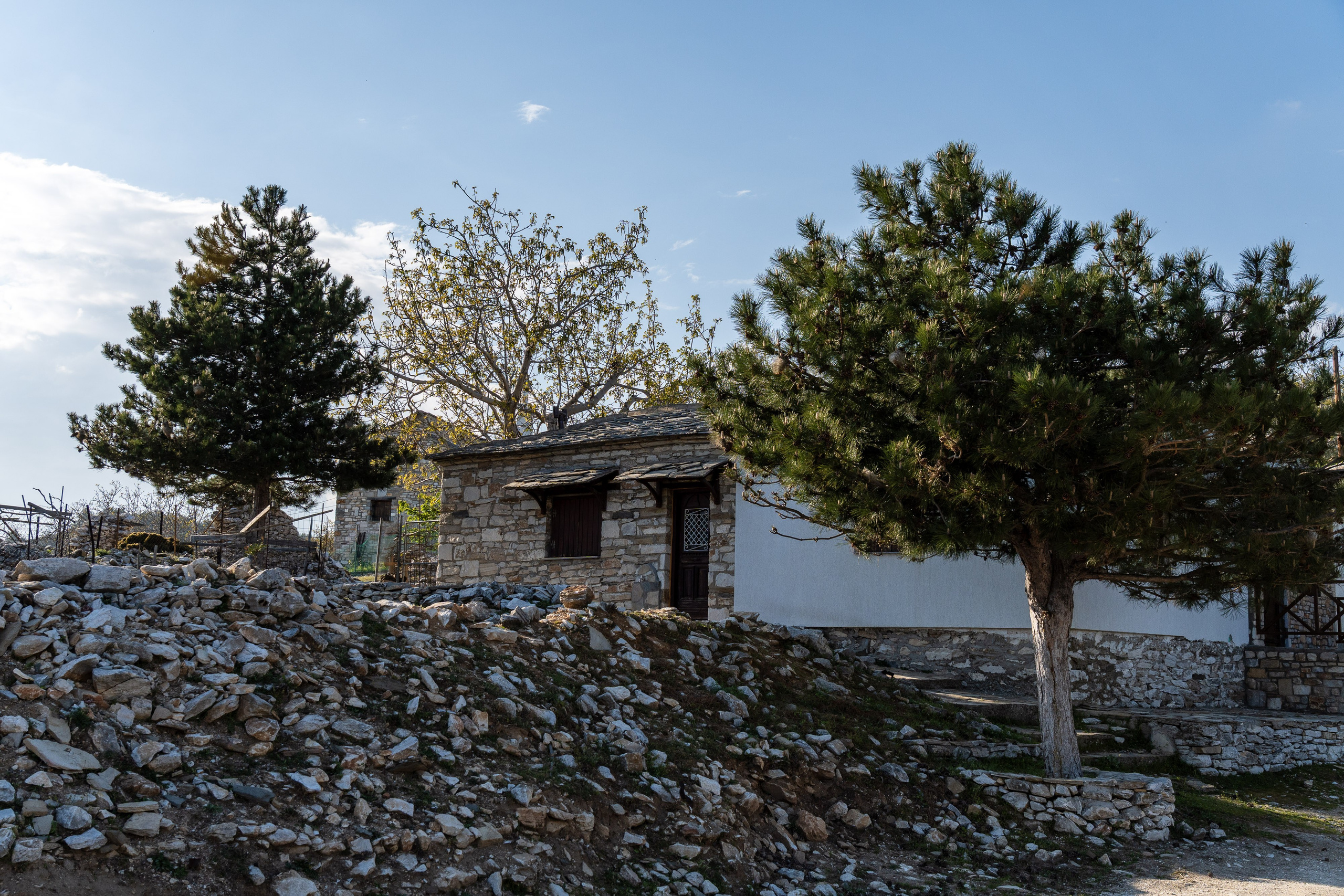 Thasos 2025. Fotografiideplacere.net