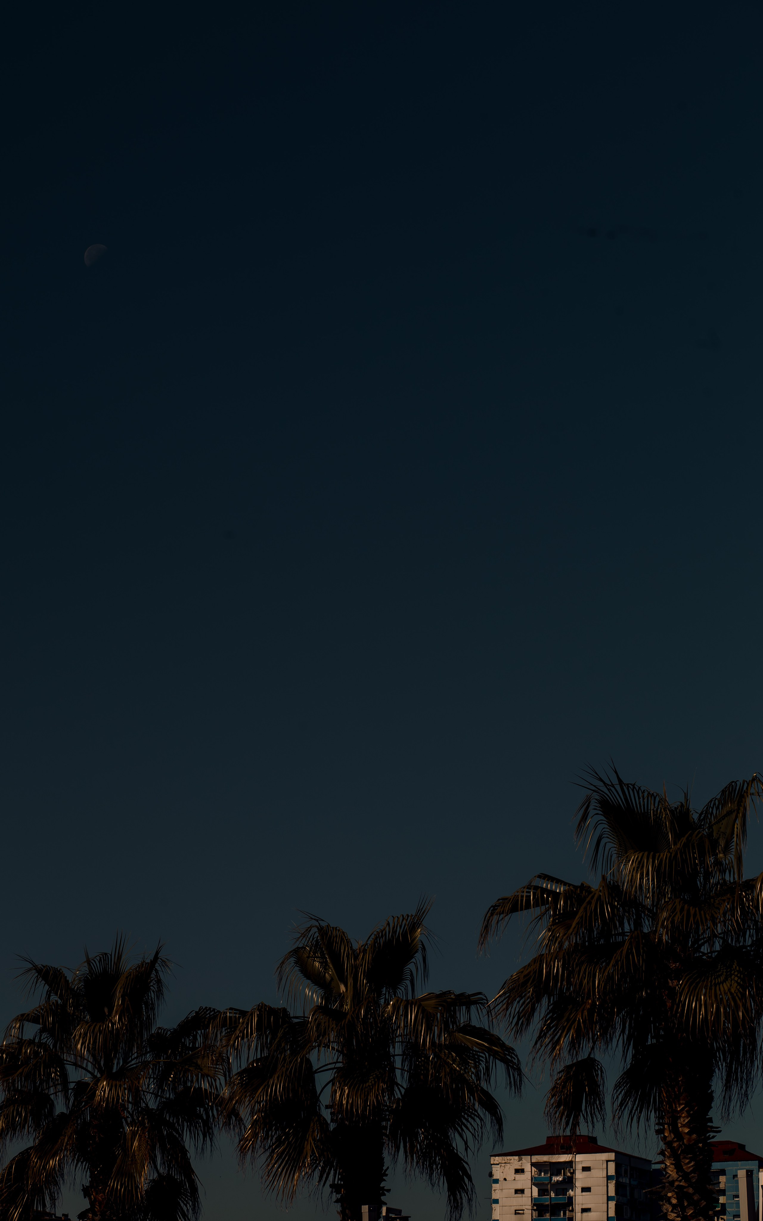 Georgia, Batumi. Art Photographer