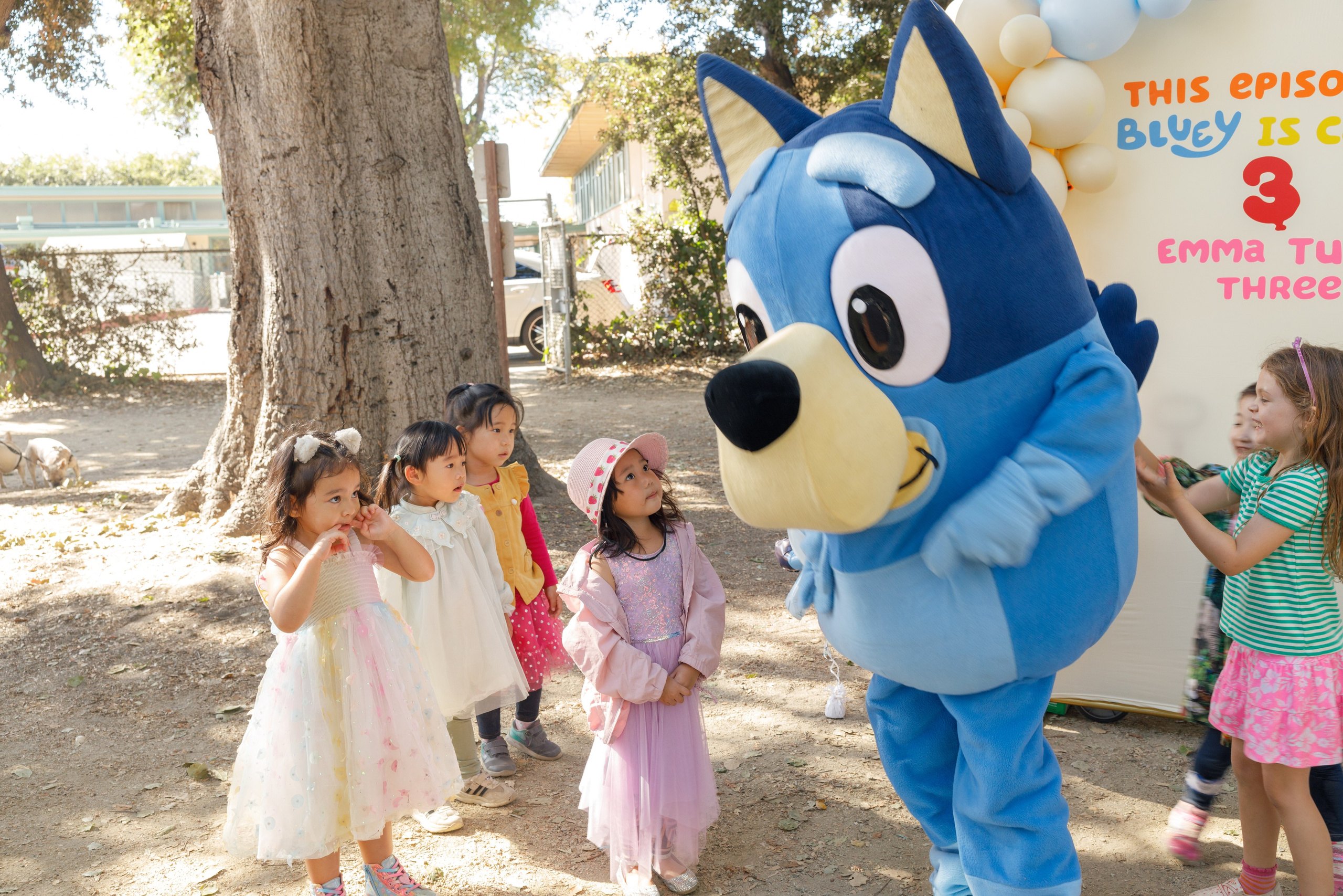 3rd birthday. Family and Event photographer in Bay Area Elena Tiuriumina