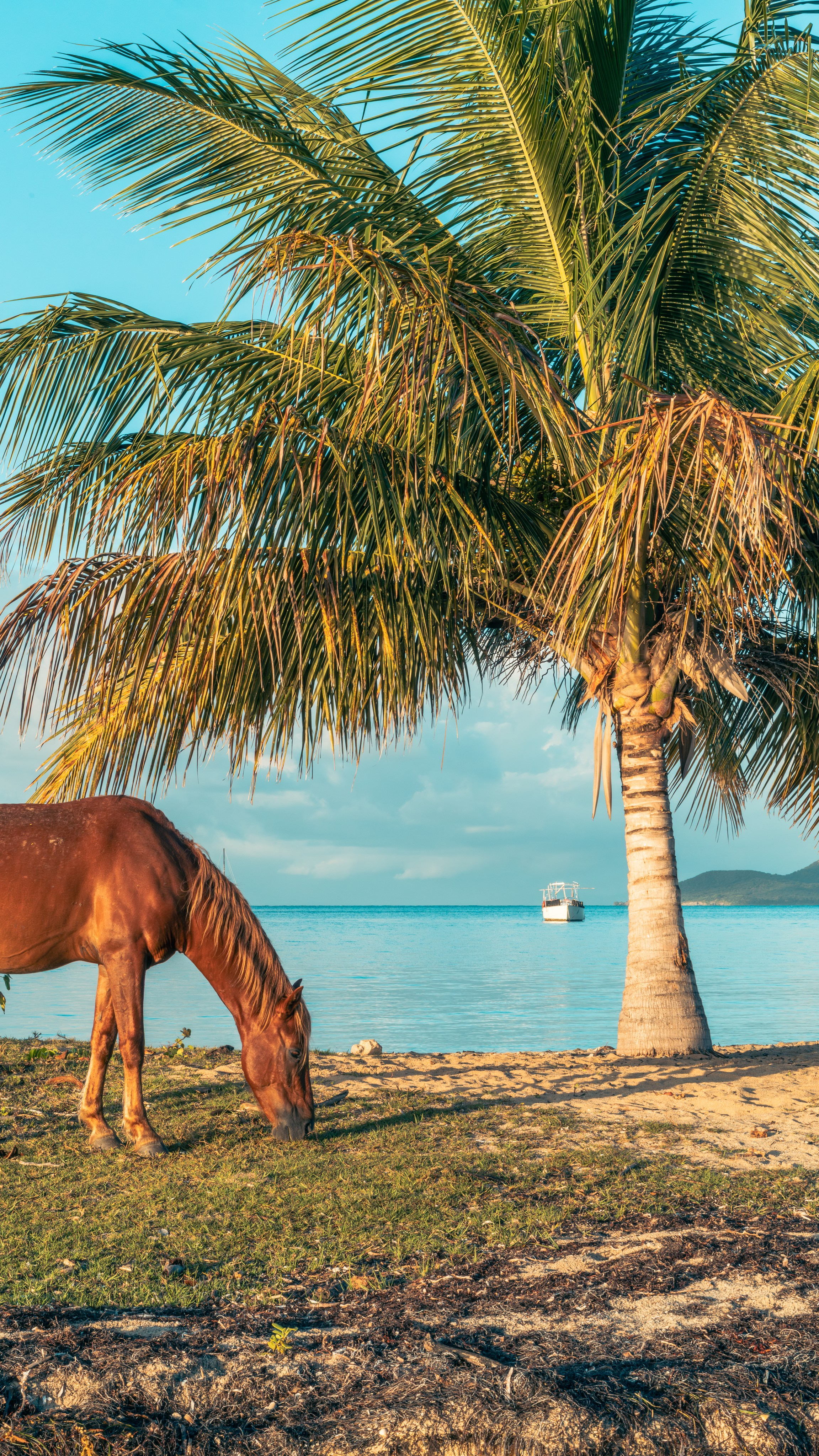 Natural Light. Manny Cruzado Photography
