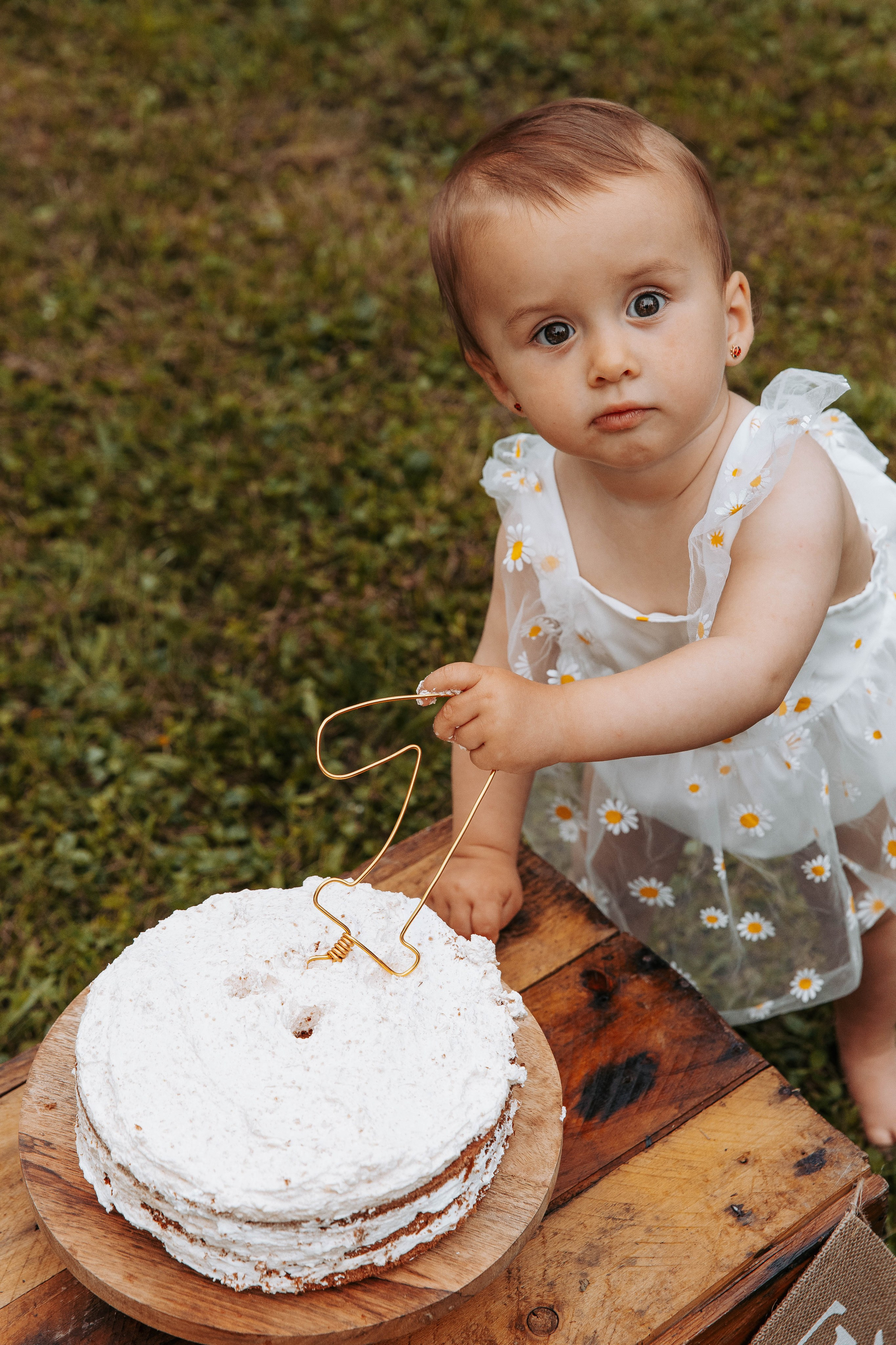 Smash Cake Photography. Family and Wedding Photographer