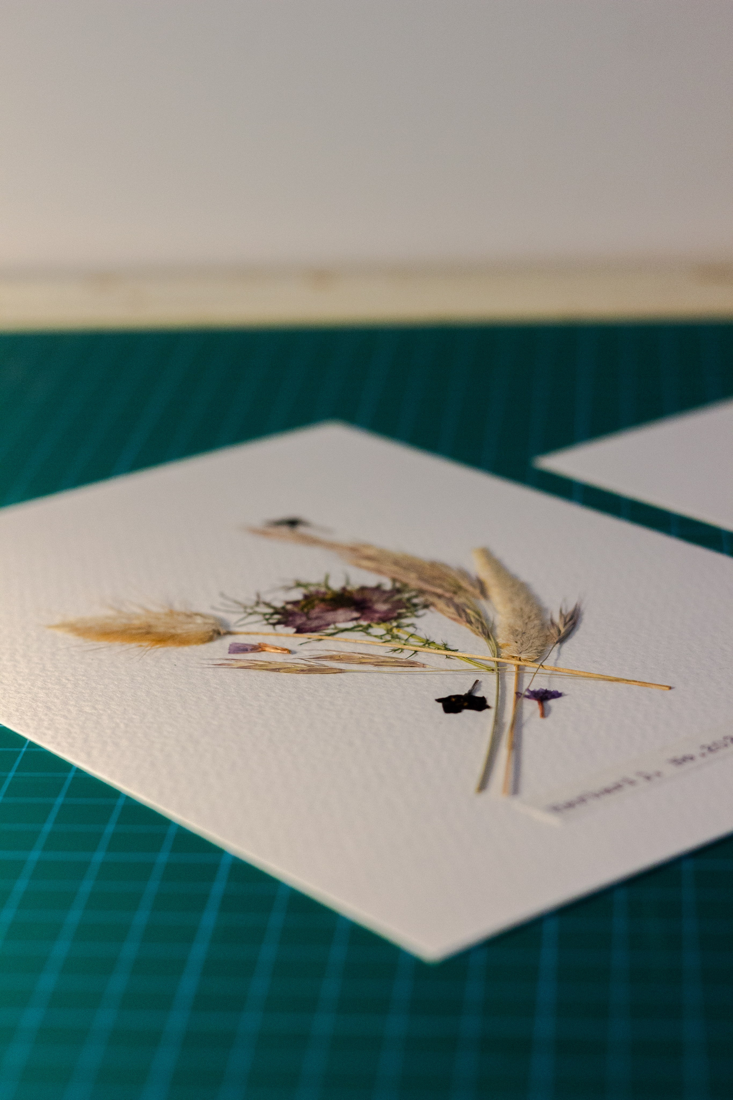 Portfolio. Herbarij studio