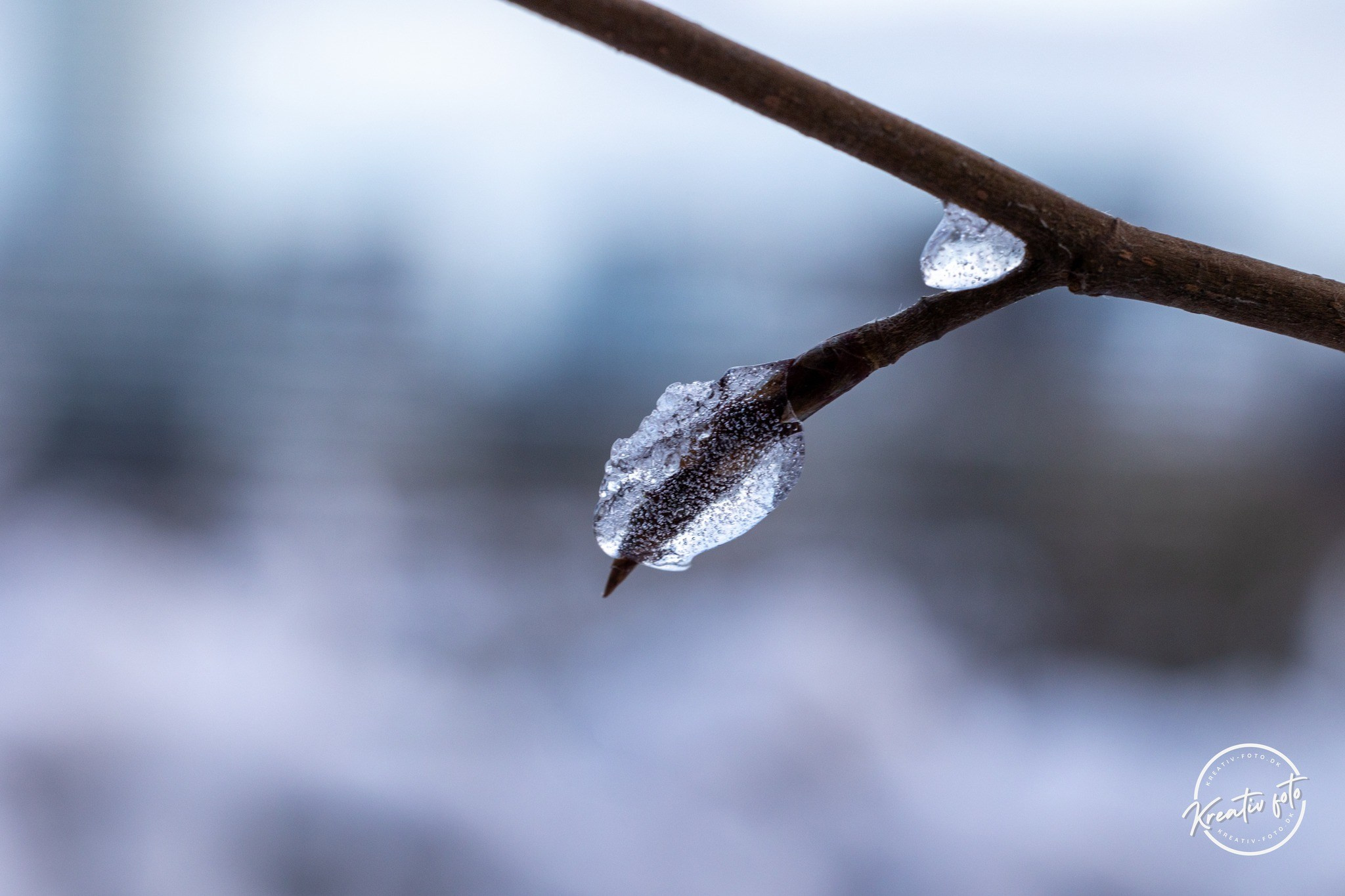 Vinter. Fotograf Aarhus | Portrætfoto Århus | Flotte billeder