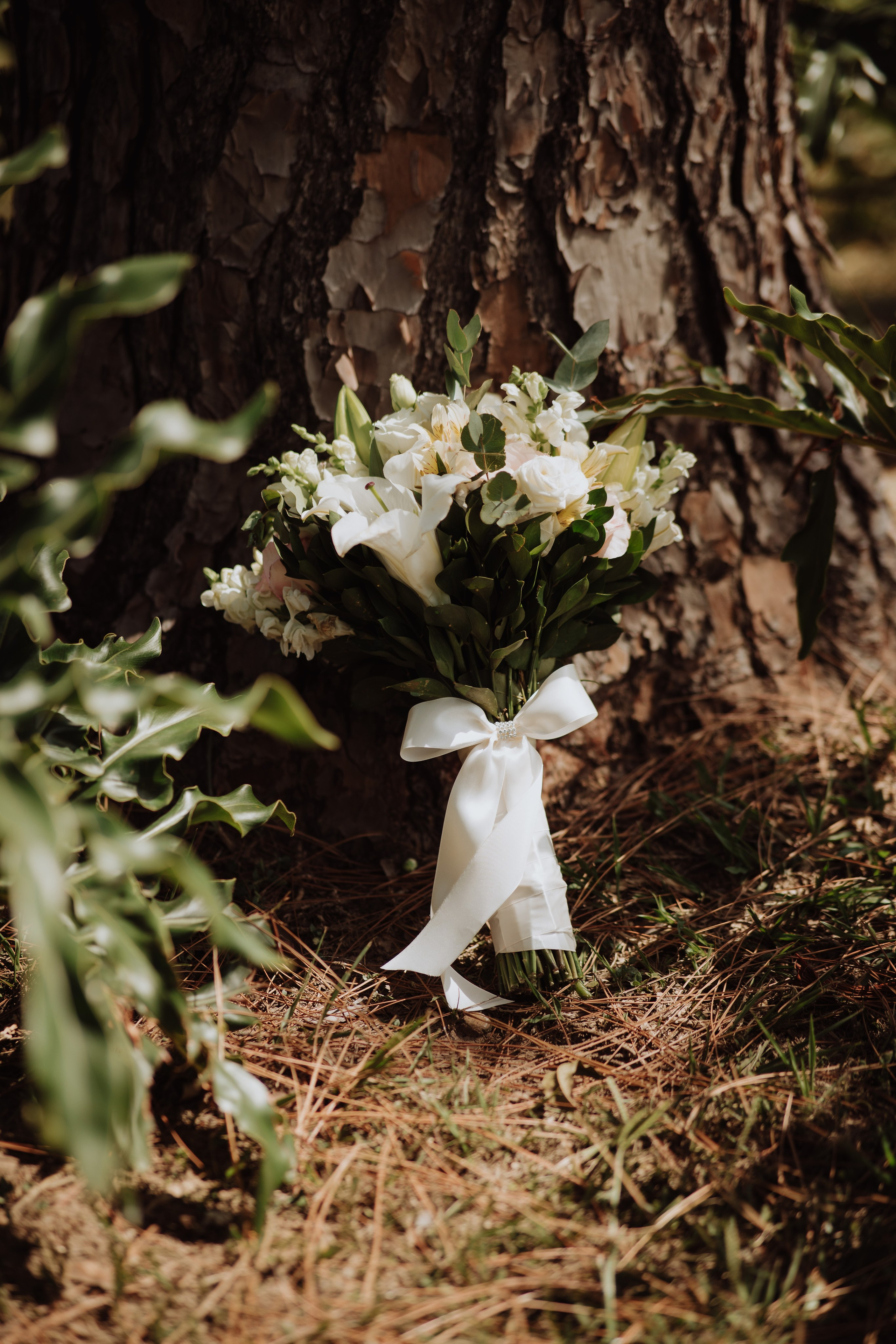Jessica & Miguel. O Casal Dos Noivos