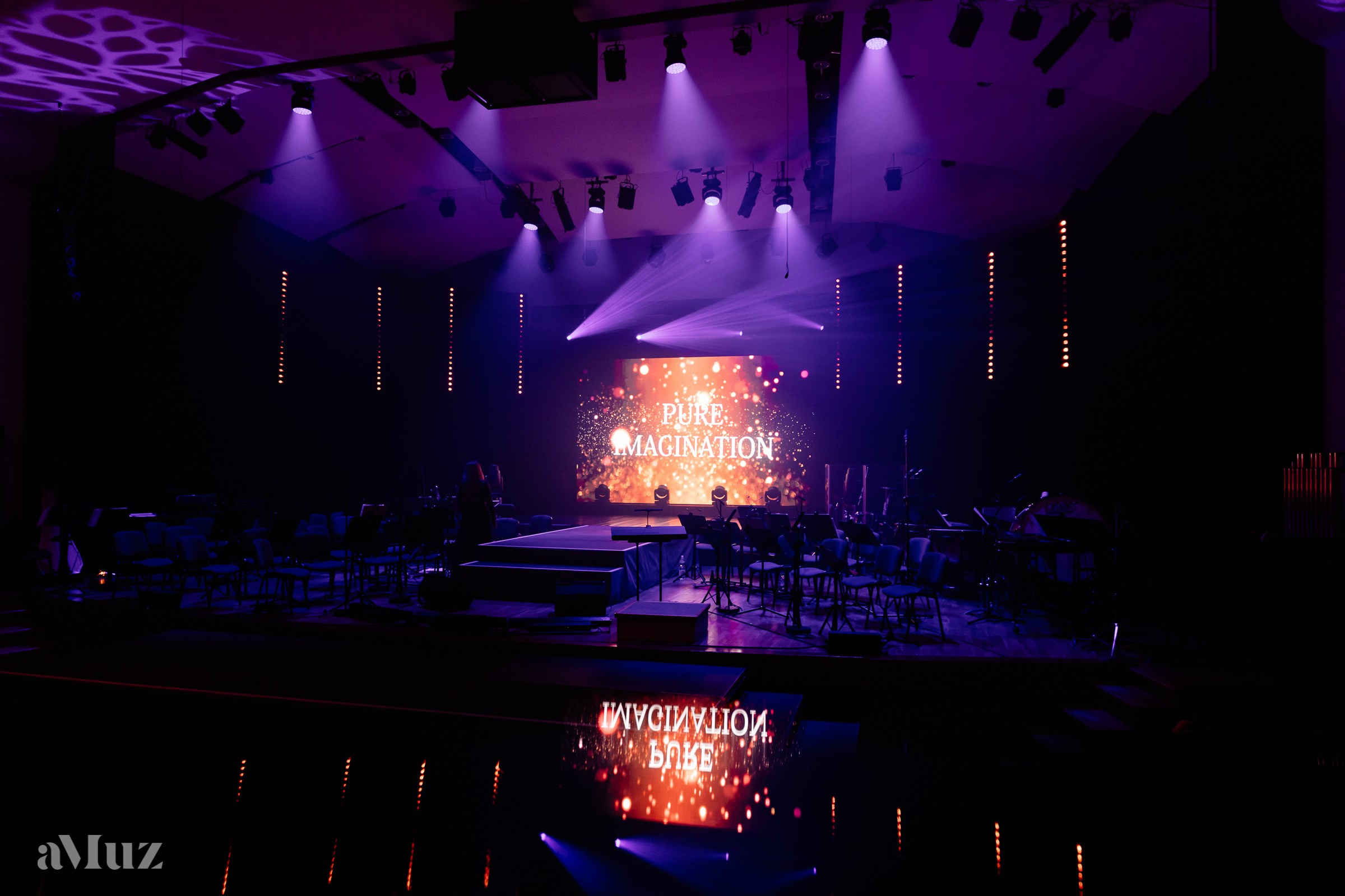 Koncert Amuz.pl. Fotograf Ślubny Warszawa - Sesje Biznesowe Rodzinne Eventy