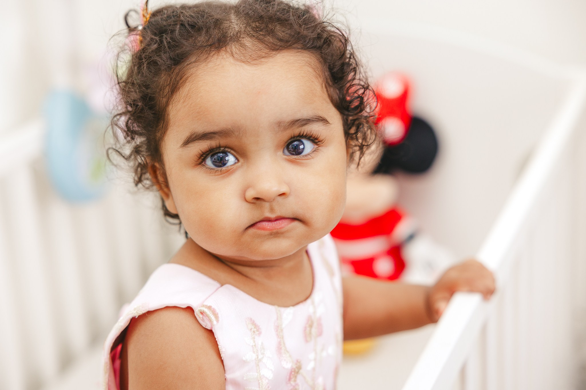 Events & Celebrations. Giandamorgana