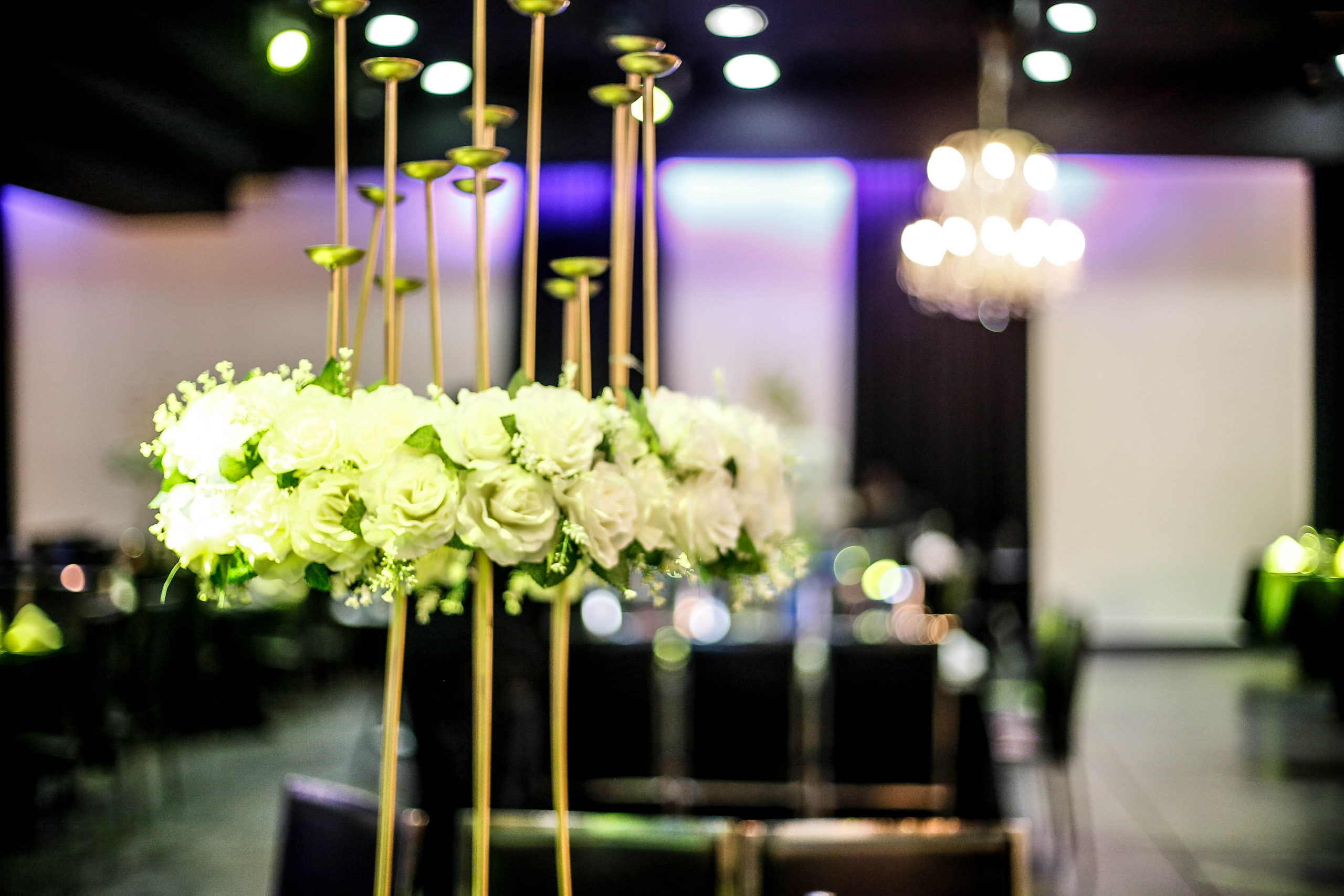 Atmosphere. משה מנשה צלם חתונות