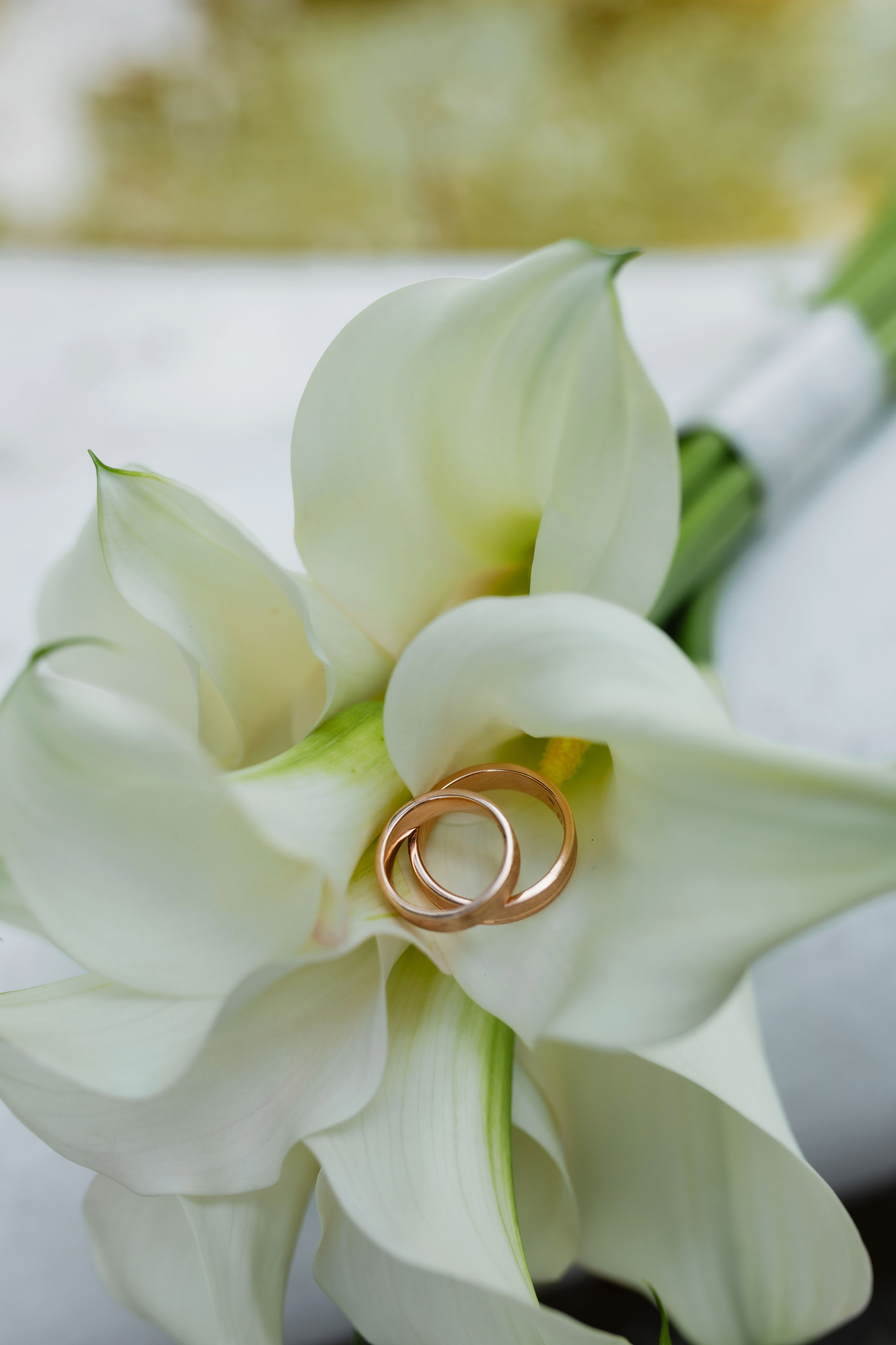 Юлия&Дмитрий. Фотограф Даугавпилс/Рига Виктория Нитиша