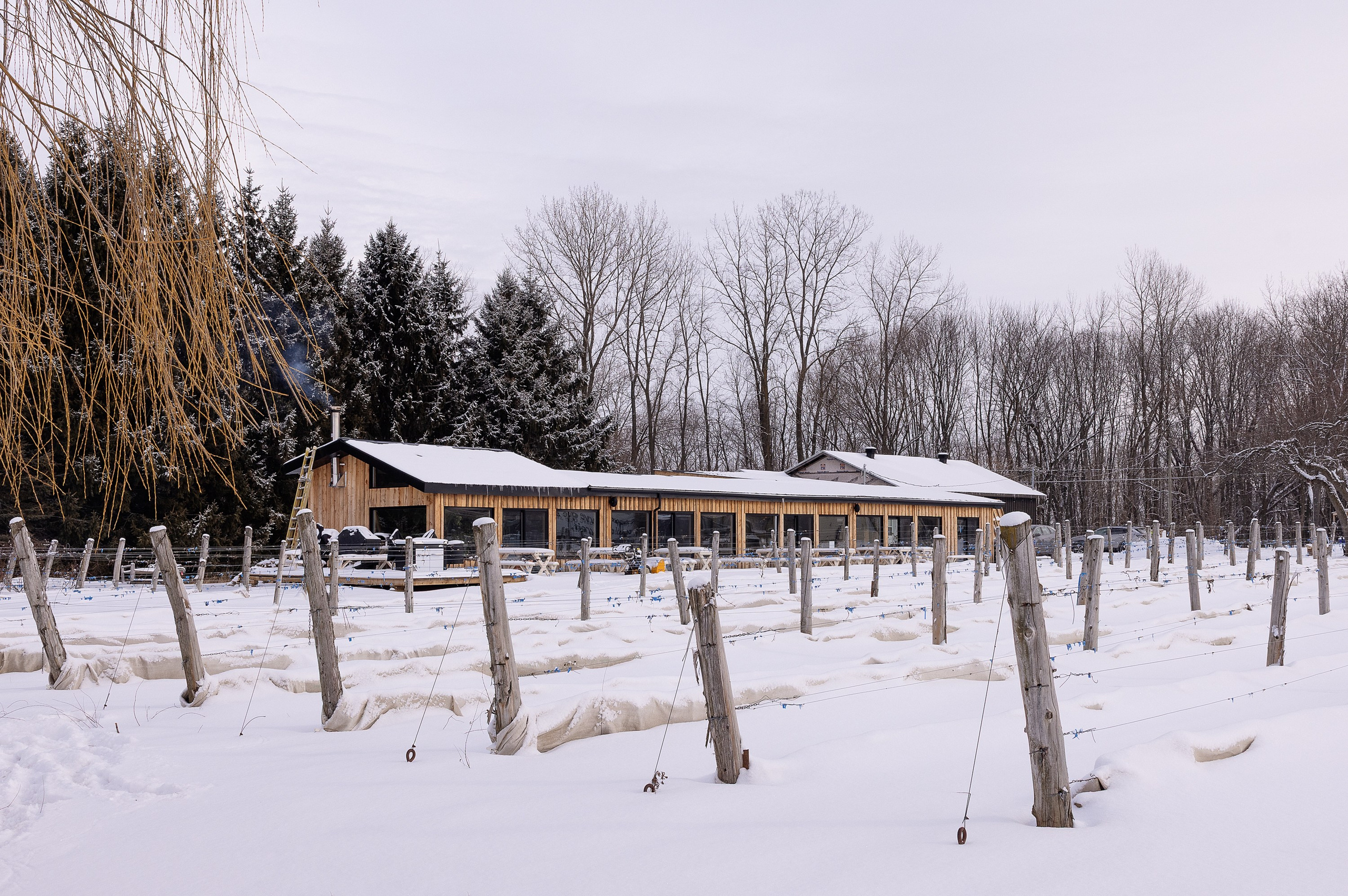 Vignoble et Domaine Beauchemin / Edition January 2025