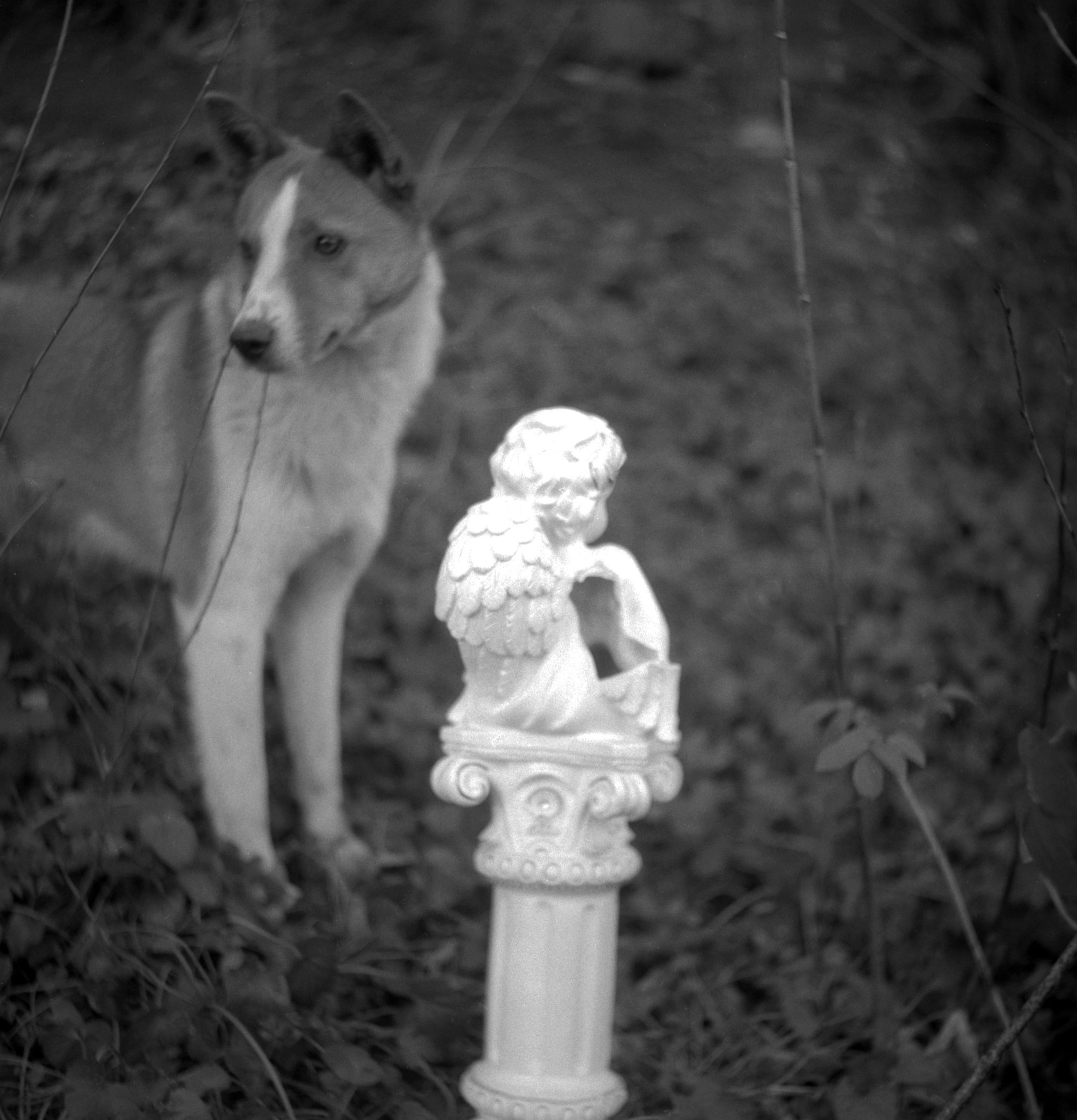 When it is day for angels in heaven, it is night for people on earth. Natalia Parfenova visual artist film photographer