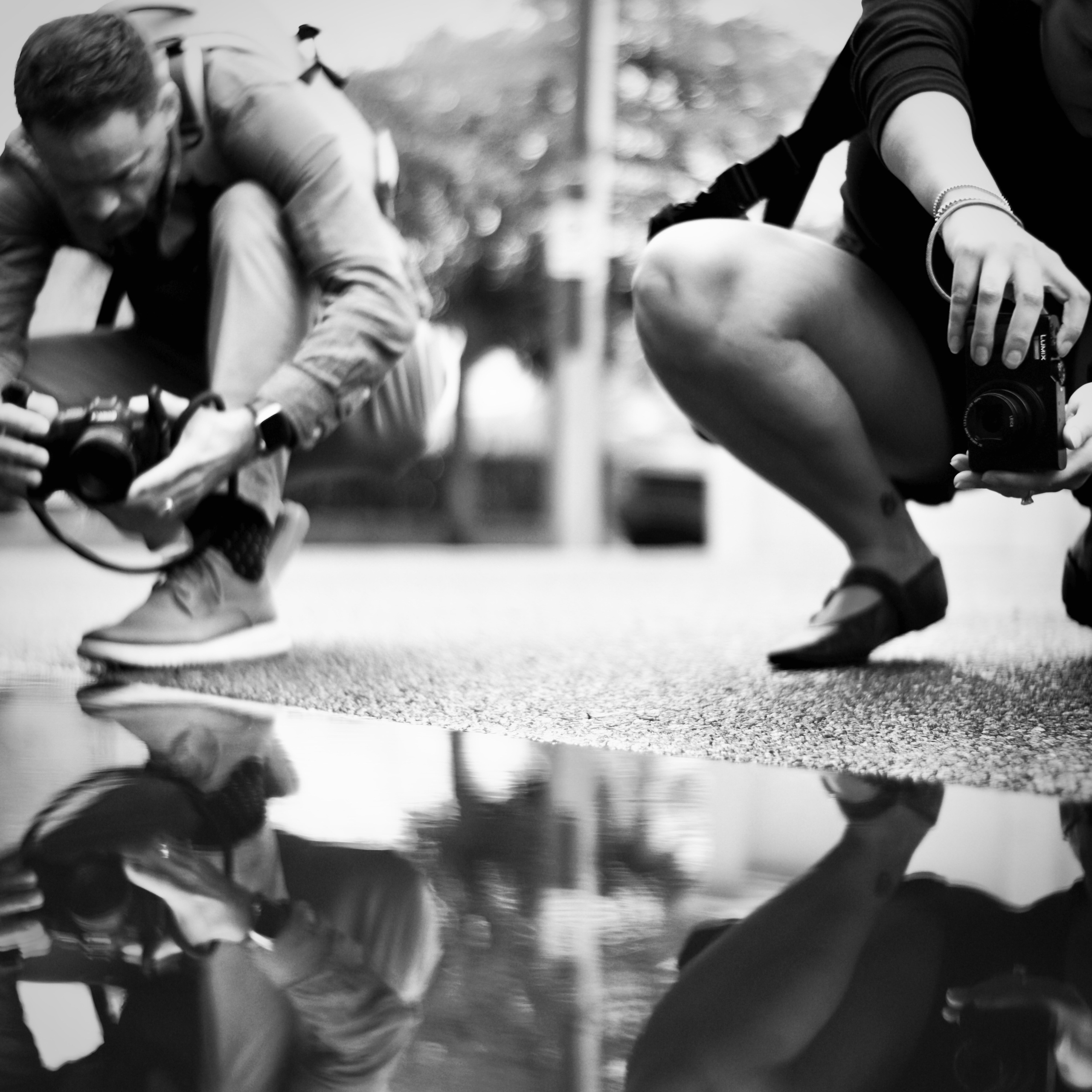 Monochrome. Sonny Photos