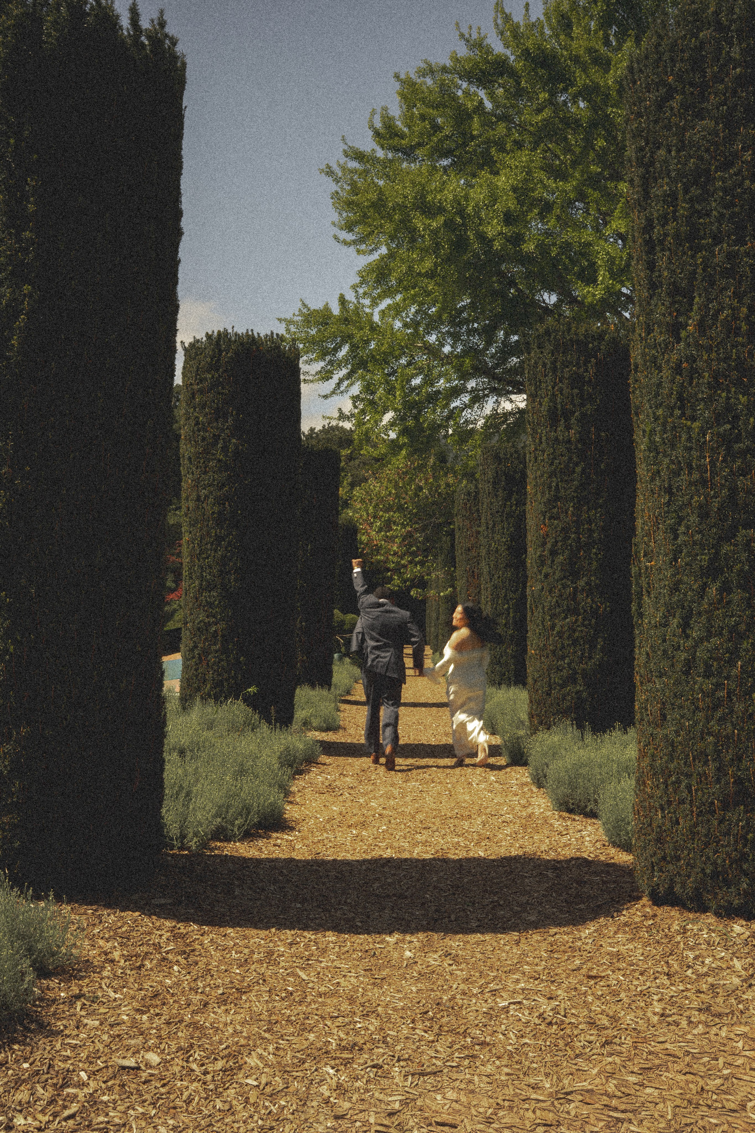 Filoli Garden