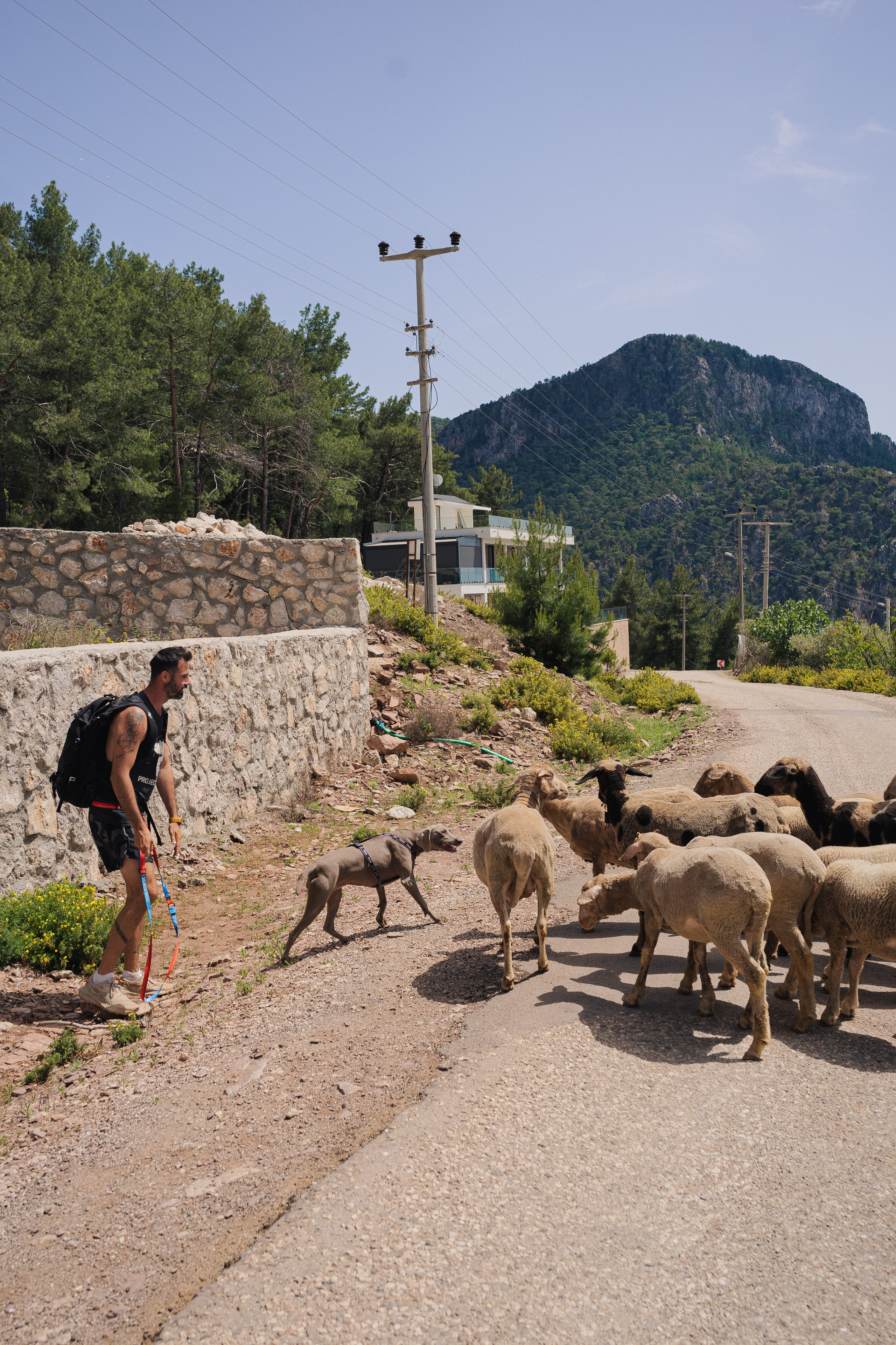 Хайкинг Ликийская тропа. Фотограф Москва Ларина Юлия