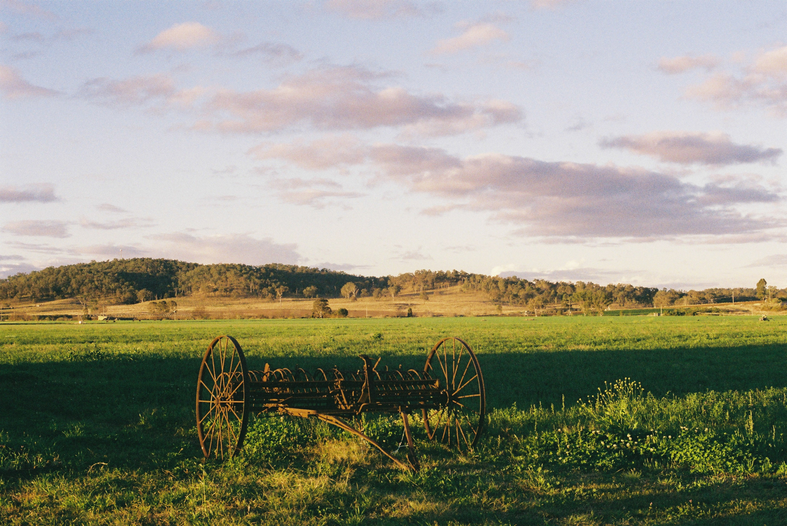 Milly&band. Film photographer