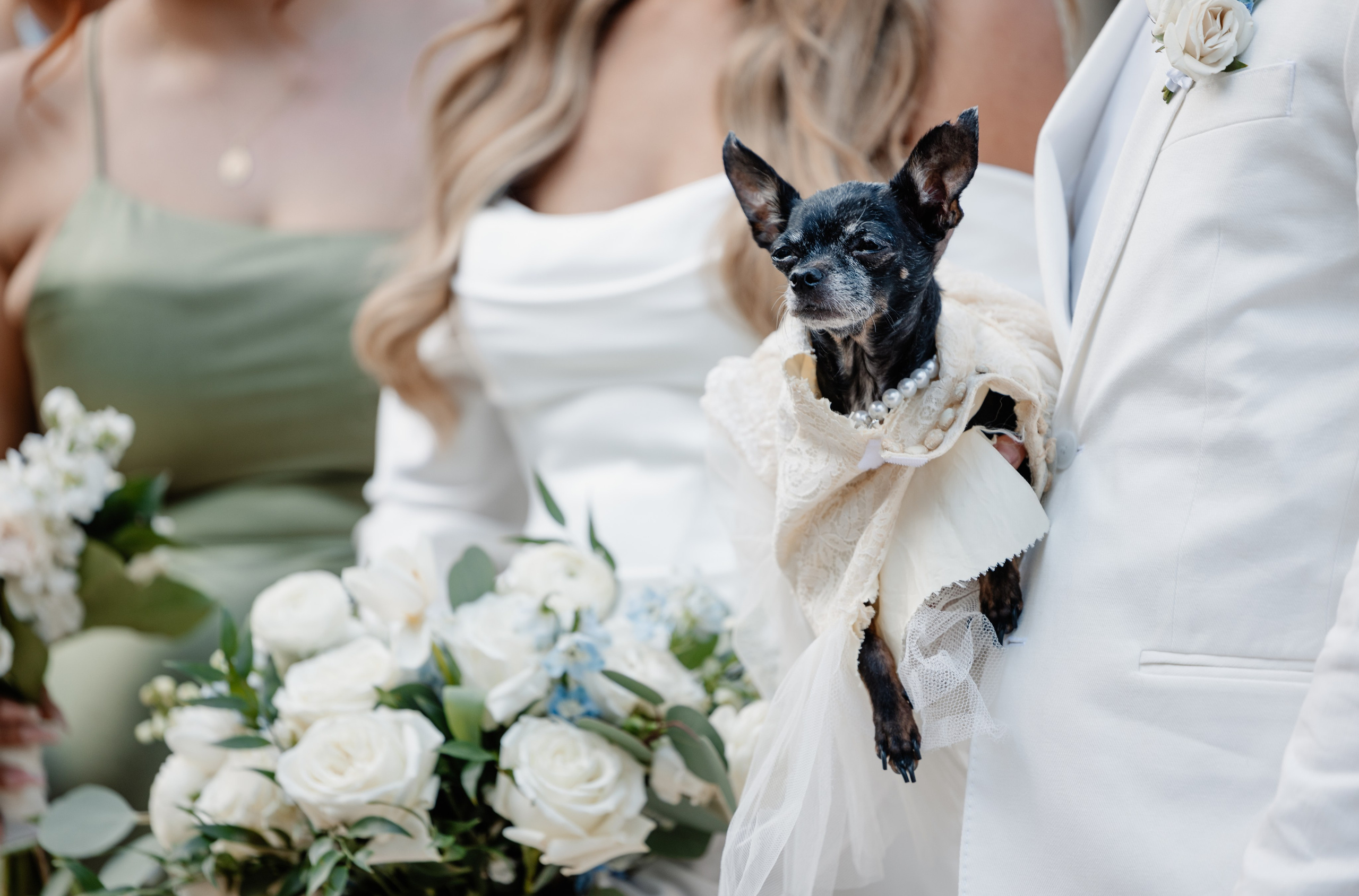 Timeless Romance | Joanna & Leo’s Wedding at the Ancient Spanish Monastery. YES I DO PRODUCTION — Wedding photography&videography