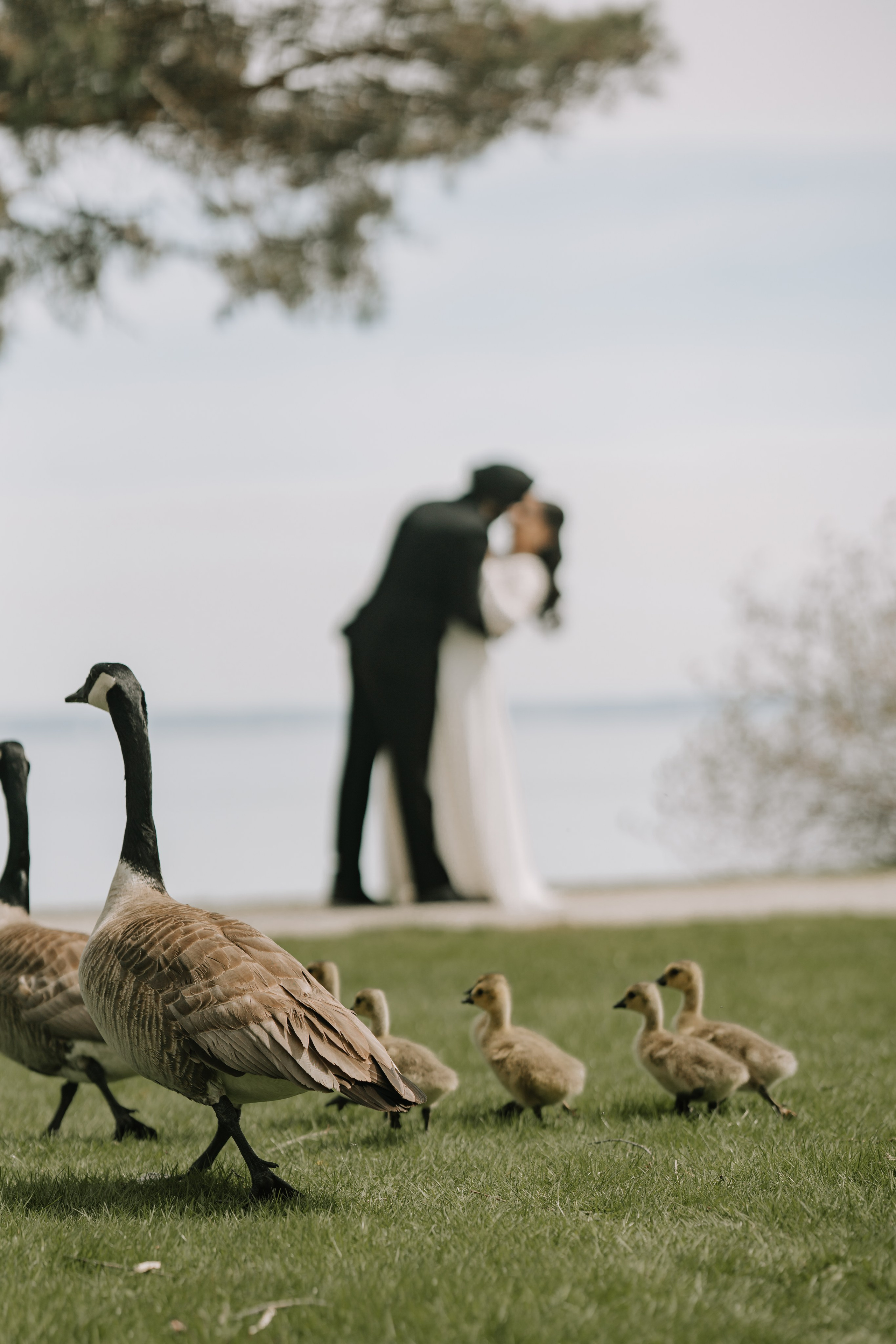 Gagan & Jasmeen. Wedding Photographer & Cinematographer studios