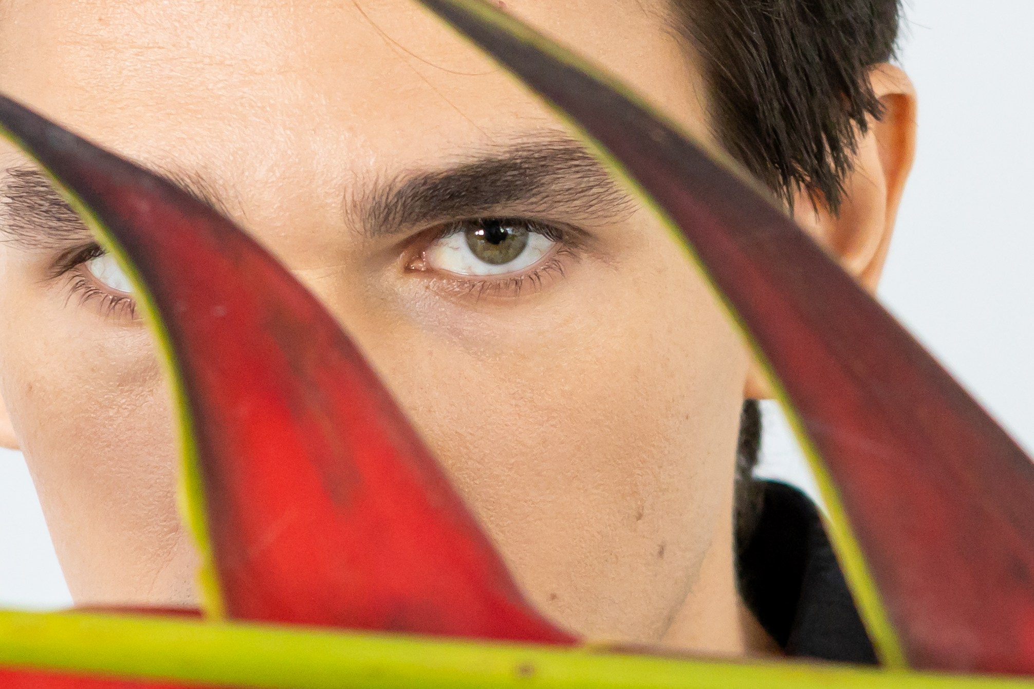 Portraits. Art photography. Events. Family photo