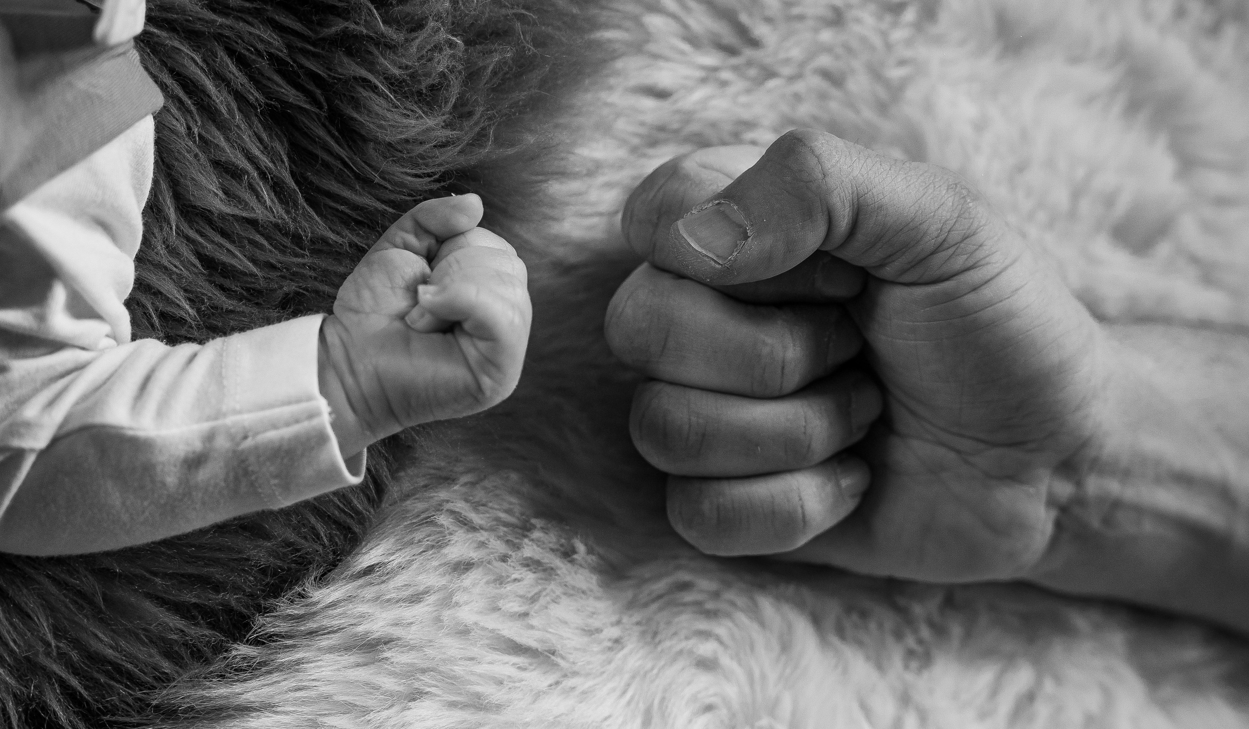 Newborn Lifestyle. Fotografin in Bad Hersfeld