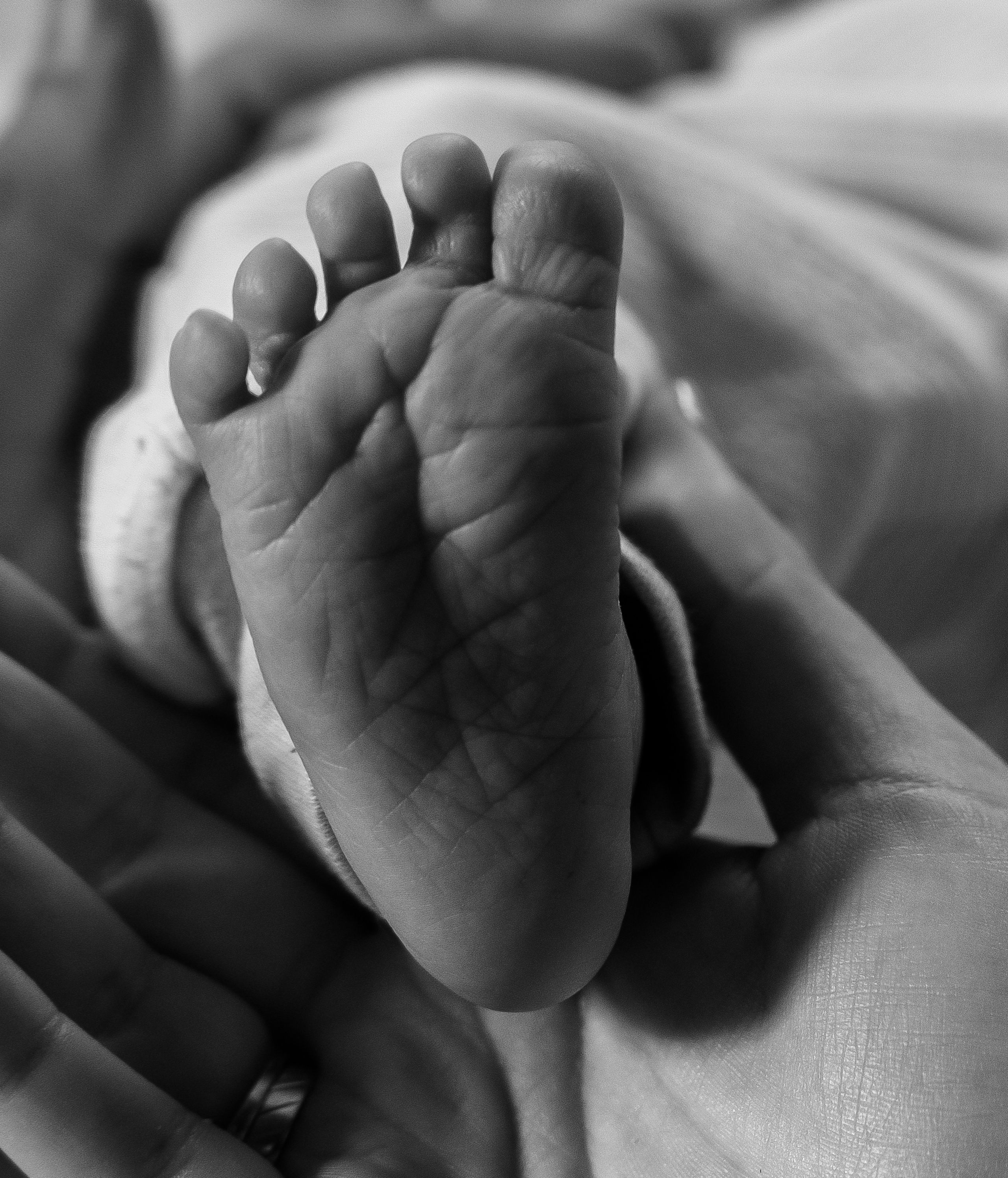 Newborn Lifestyle. Fotografin in Bad Hersfeld