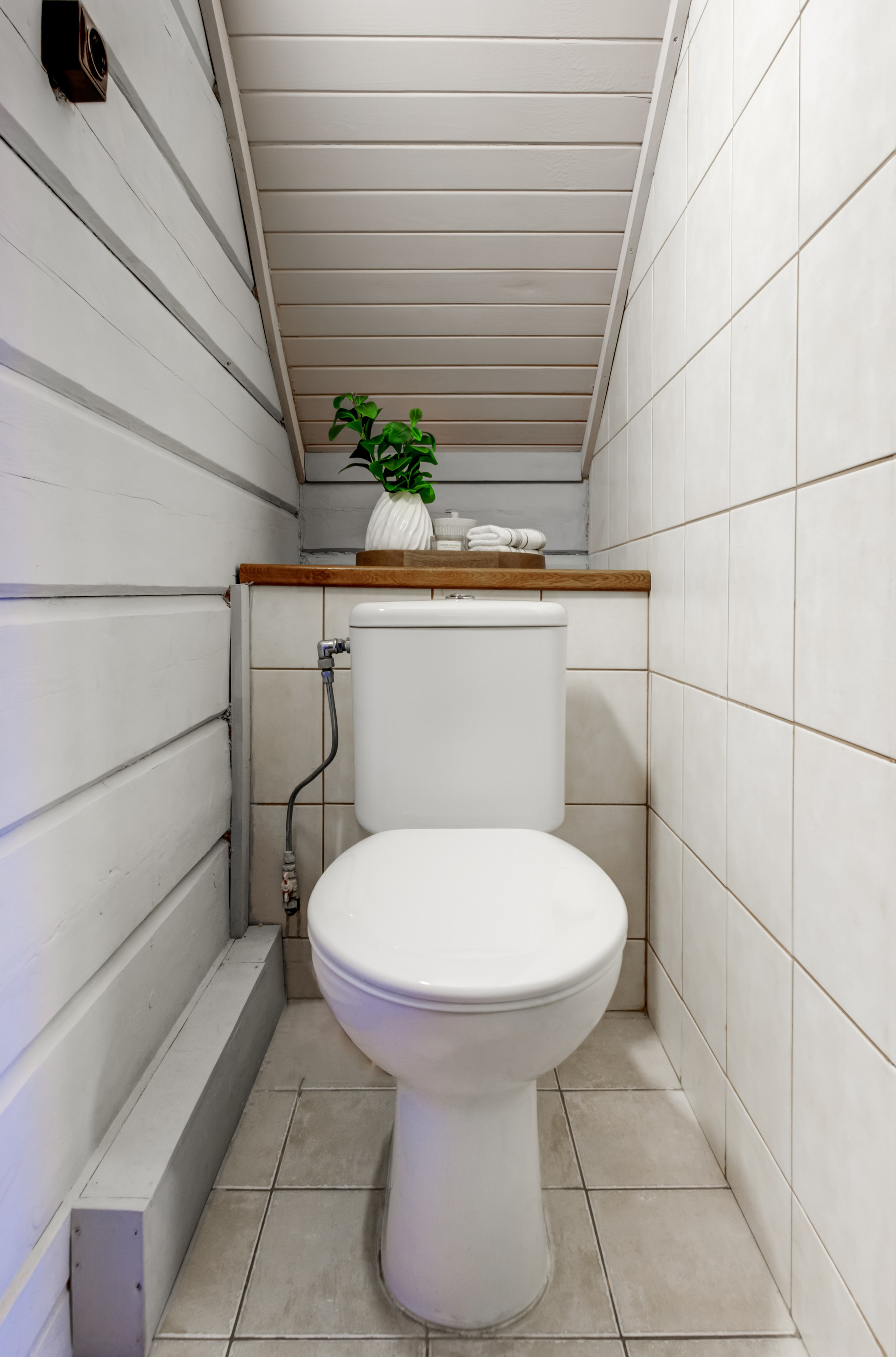 Trakų raj. sodyba. Elina Sapiega fotografė Vilniuje