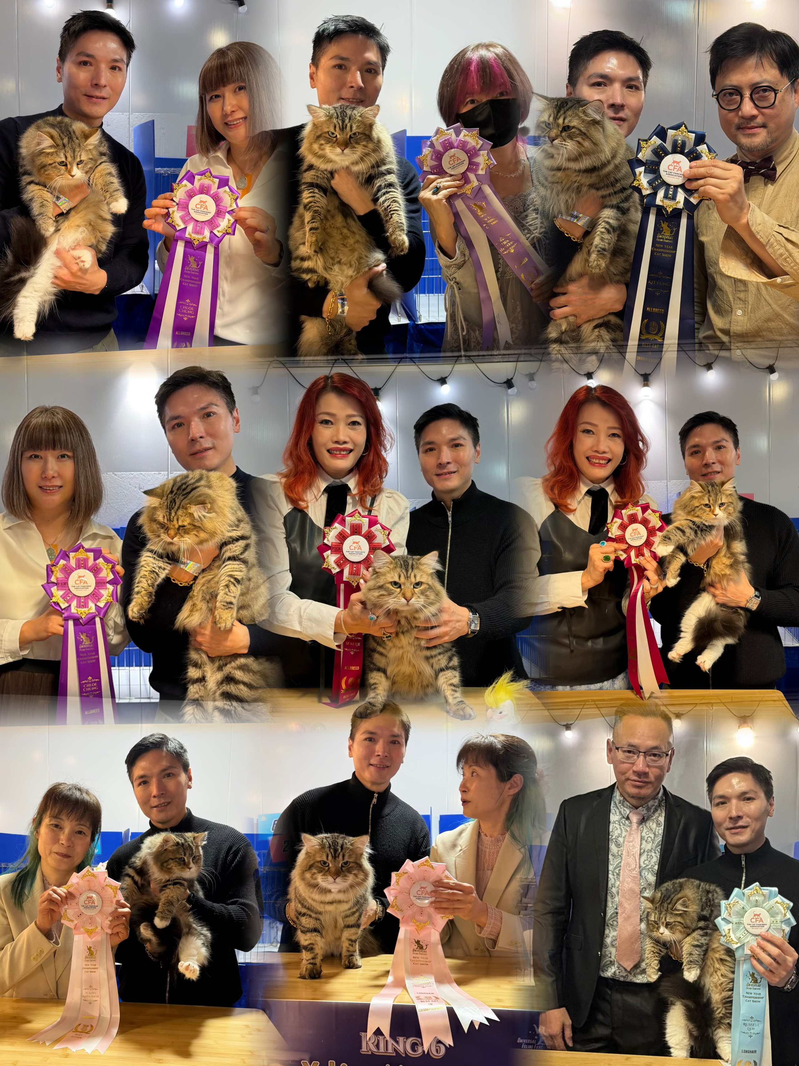 UFF New Year Championship Cat Show – 3–4 Jan 2026👑 GC Chudo 🤴 • 2nd Best Allbreed Championship (Etsuko Hamayasu)• 5th Best Longhair Championship (Yukiyo Matsushita)• 6th Best Allbreed Championship (Suki Lee)• 7th Best Allbreed Championship (Chloe Chung)• 7th Best Longhair Championship (Russell Law)• 9th Best Allbreed Championship (Kit Fung)👸 Sylvie 💎 • 5th Best Longhair Kitten + 10th Best Allbreed Kitten (Suki Lee)• 5th Best Longhair Kitten (Yukiyo Matsushita)• 6th Best Longhair Kitten (Russell Law)• 7th Best Allbreed Kitten (Chloe Chung)Both cats performed outstandingly. Chudo earned 5 “Best of Breed” among  2 other mature GC Siberian males during 6 rings, despite being the youngest one. Sylvie, also among the youngest kittens, competing with other 48 kitten. Still reached most finals—such a promising debut!Heartfelt thanks to UFF for hosting this show, to the judges for admiring my cats and to  all our wonderful friends for being supportive!