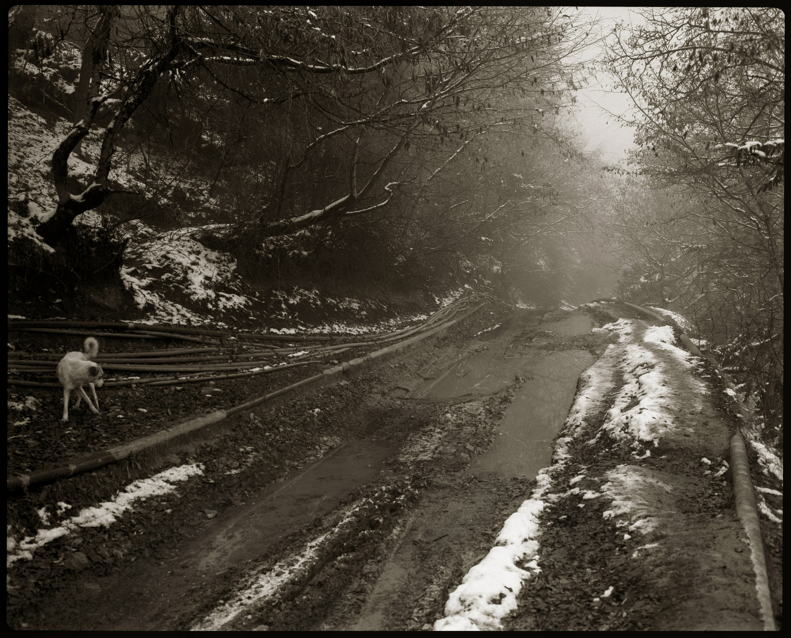 Kish village. Www.sananaleskerov.com