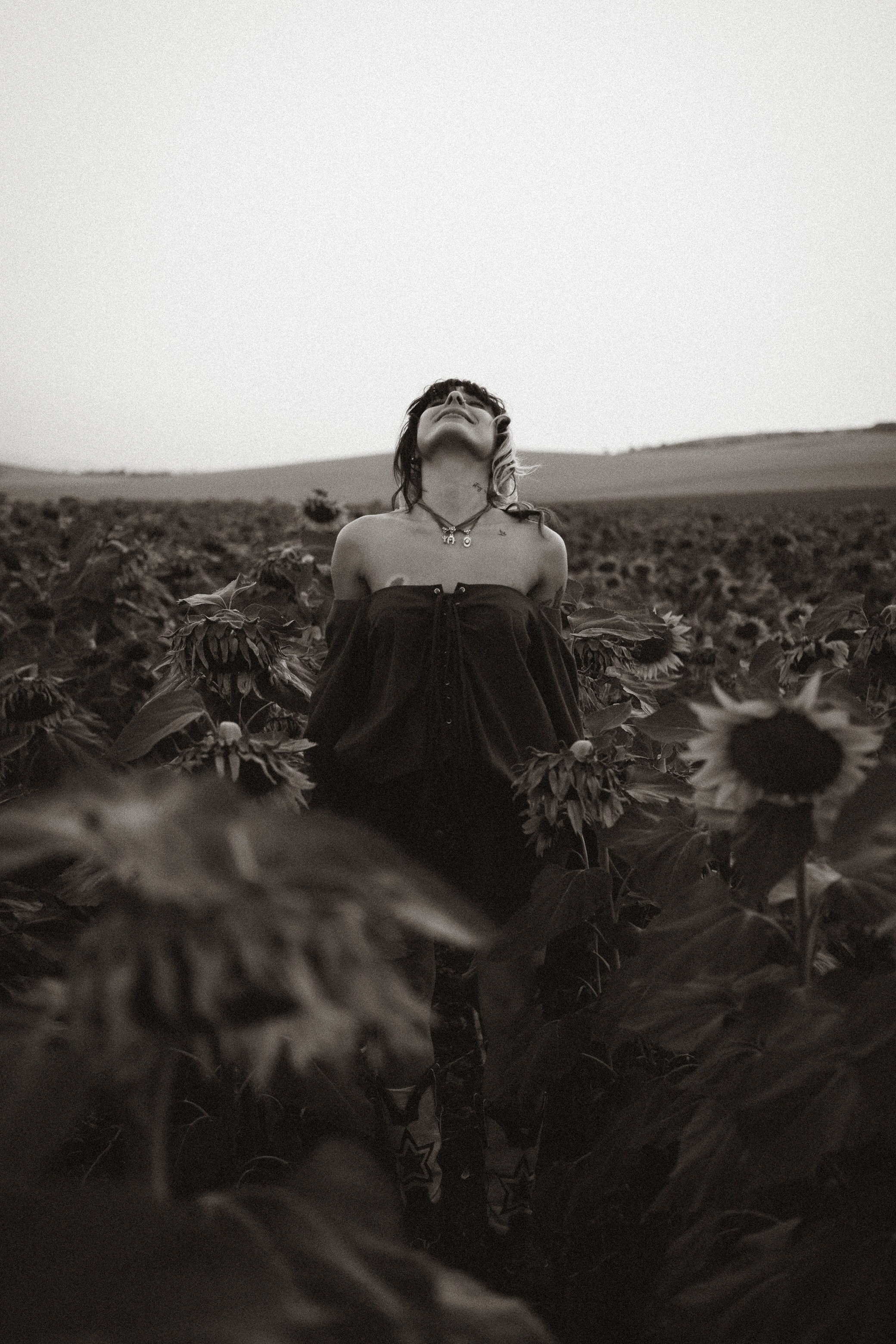 In sunflowers | Meri. Главная