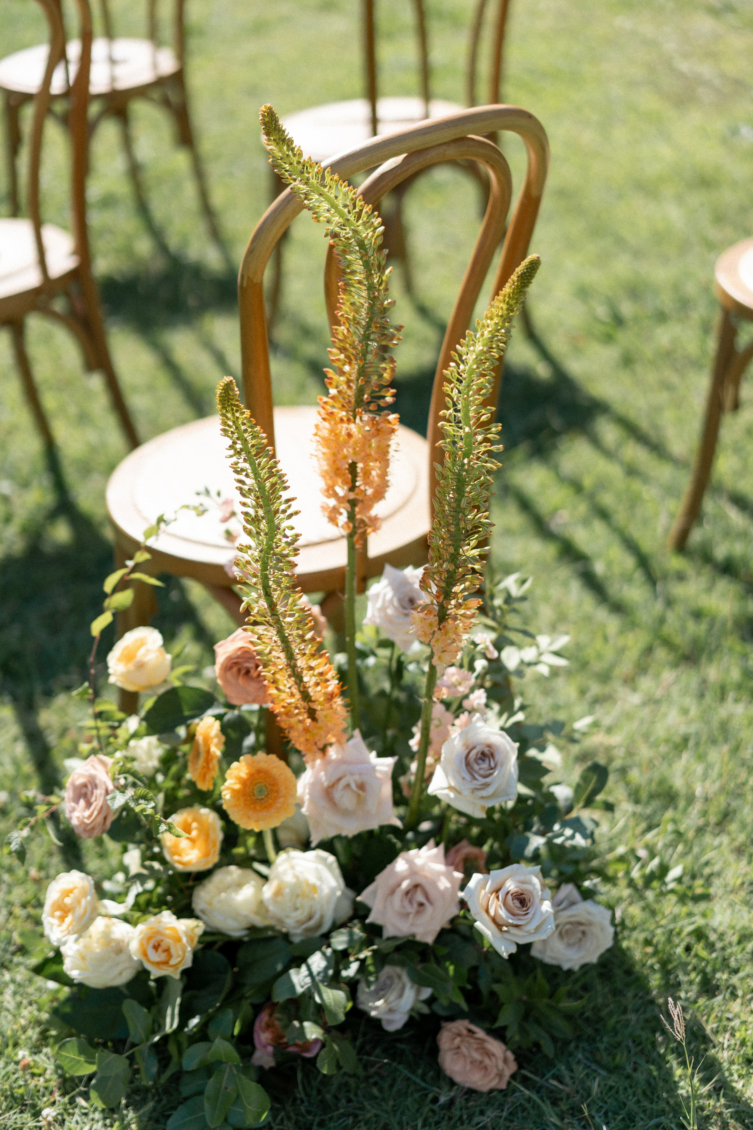 Talici Hill Wedding in Montenegro