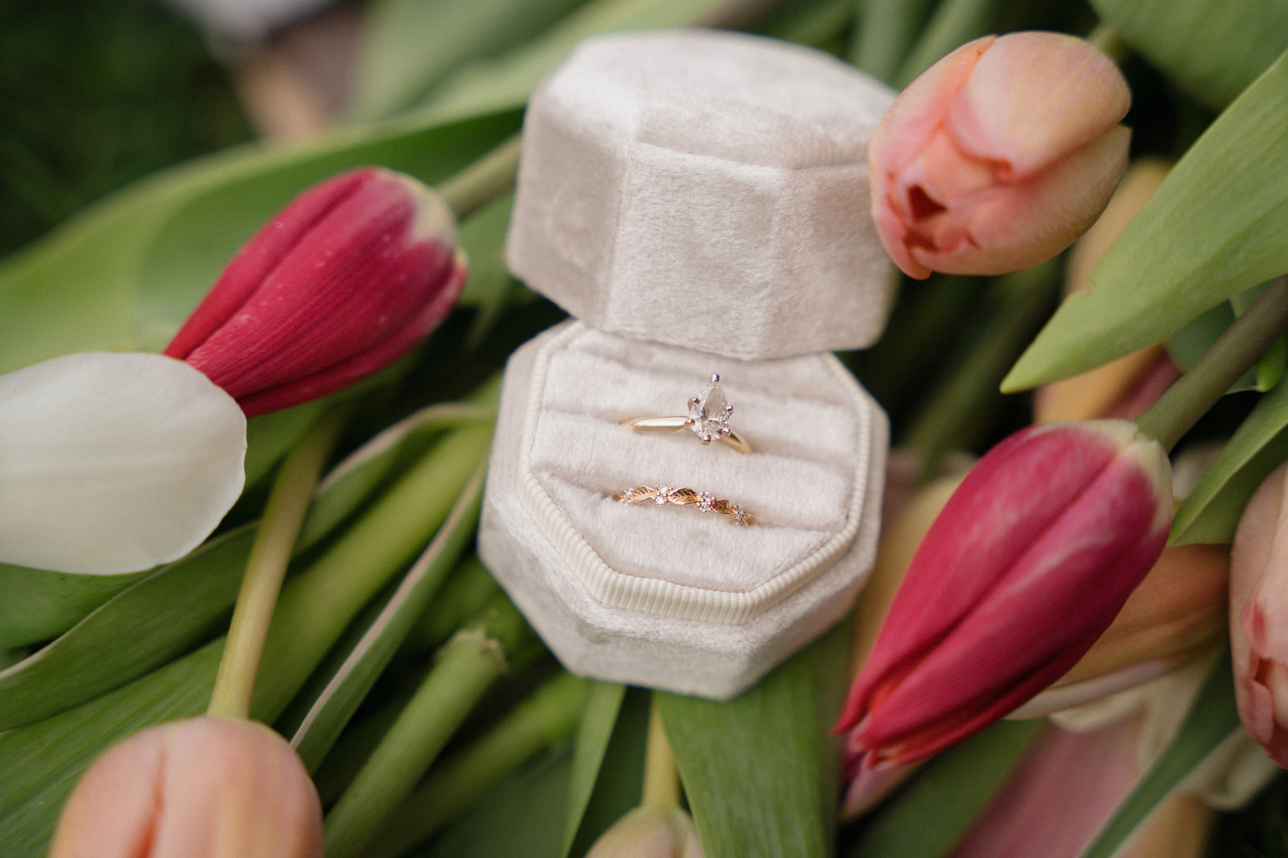 Katlyn and Josiah | Full Wedding day. Photographer in Washington Sophia D