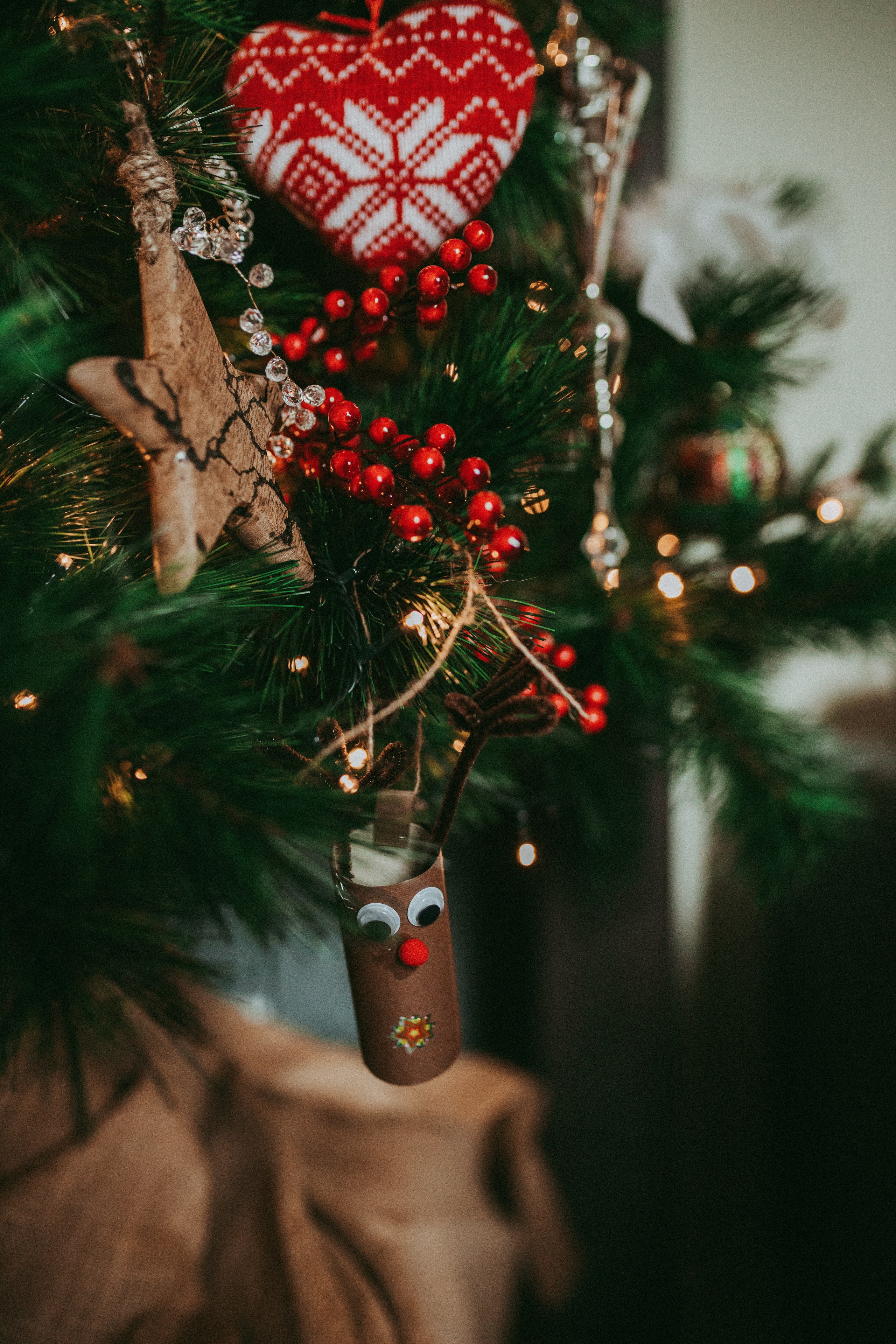 Natale in famiglia. Fotografo a Ravenna Nataliya Samsonova
