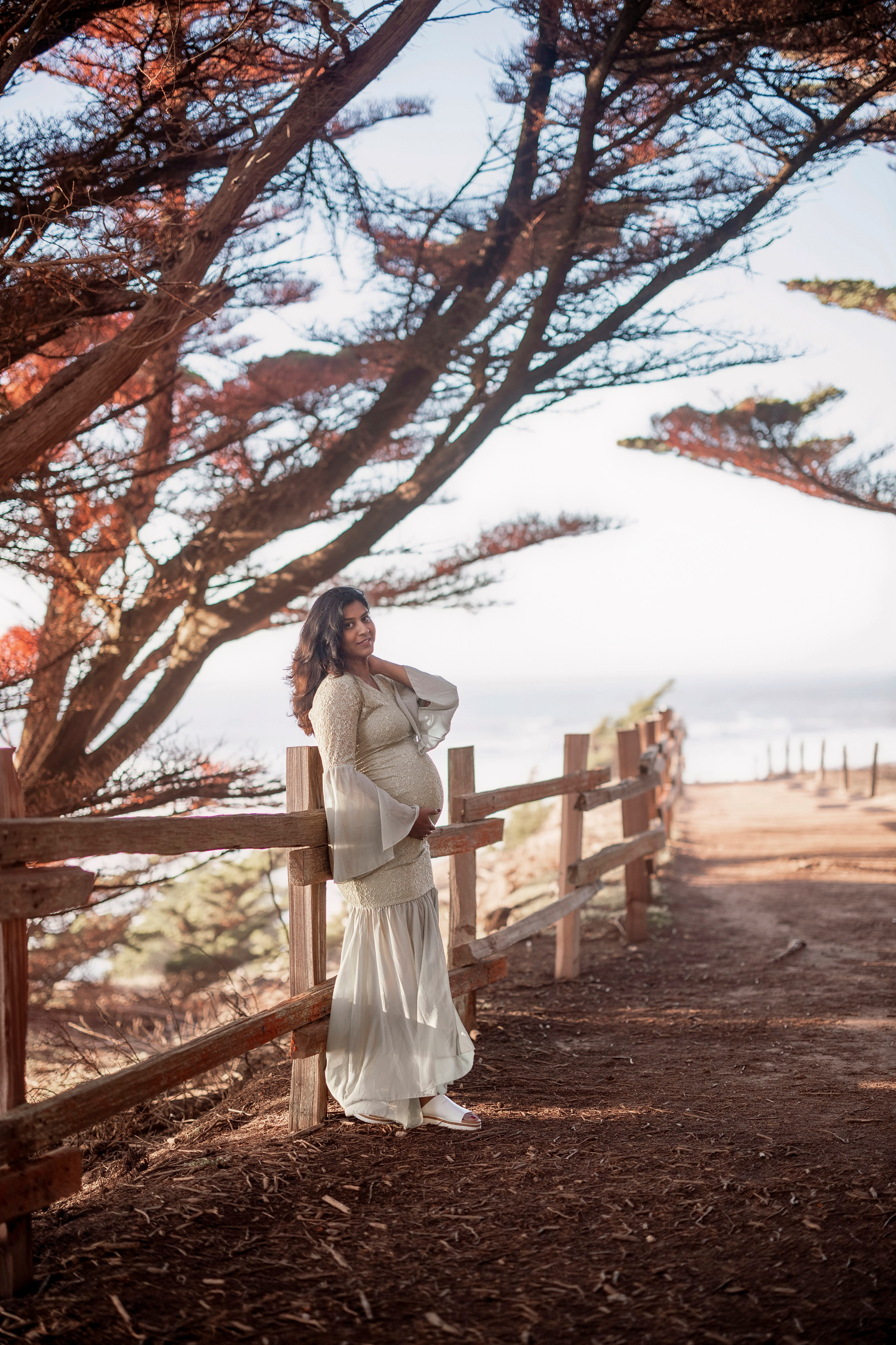Forest. Bay Area Photographer: family, maternity, love story, wedding