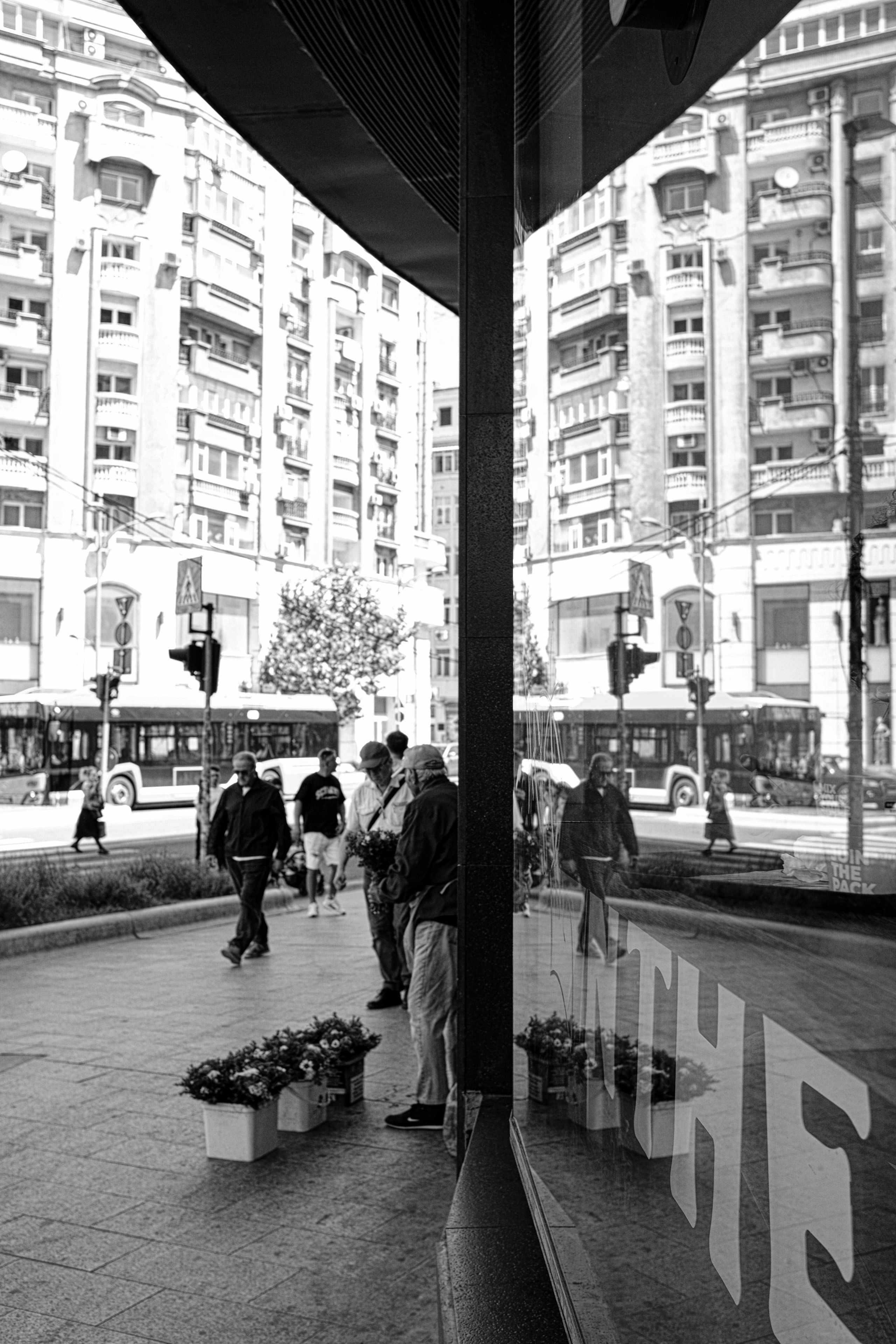 Street Walk 2026 Bucharest. Street Art Photography