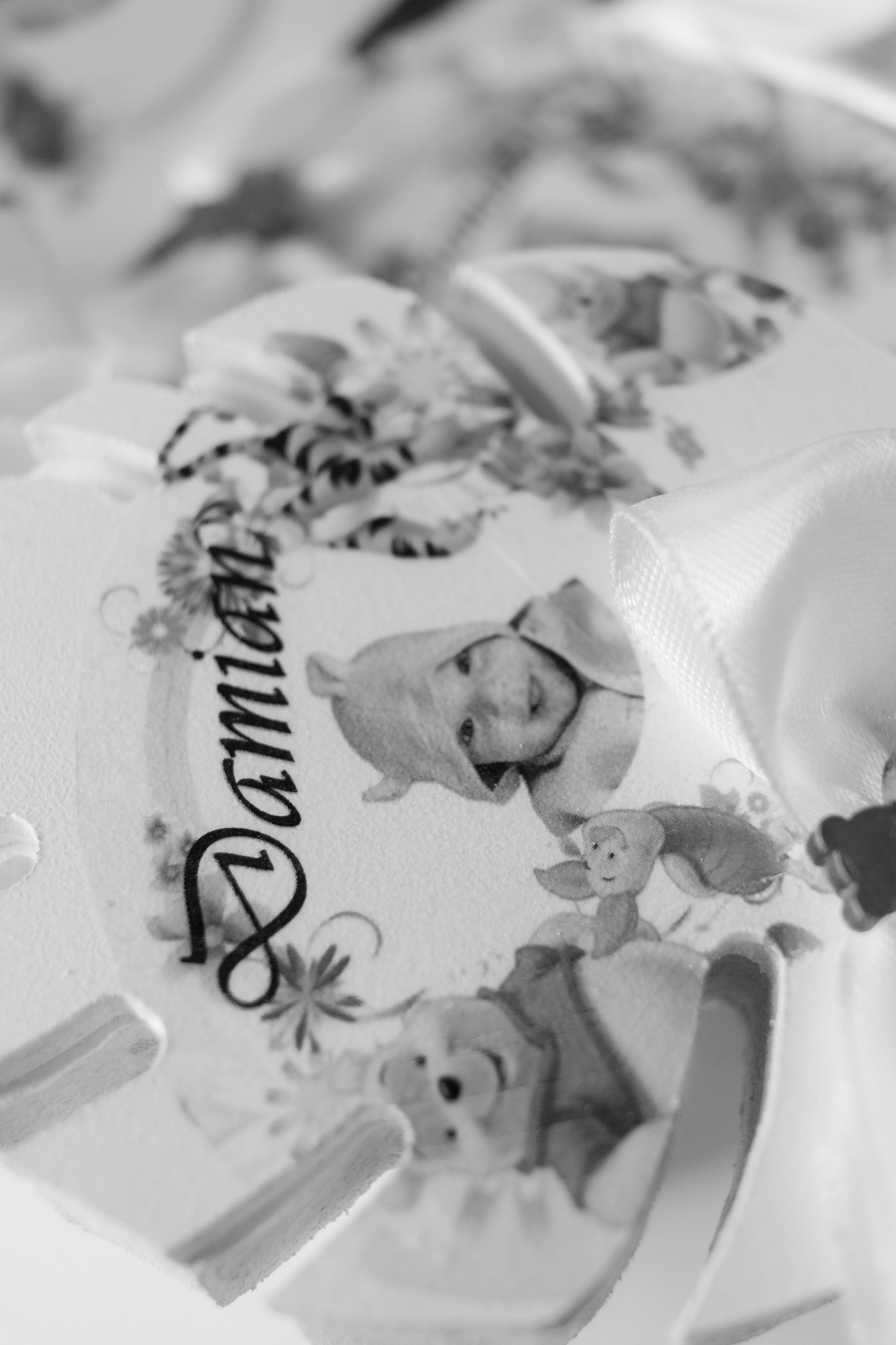 Damian- un an. Fotograf si videograf — evenimente si studio