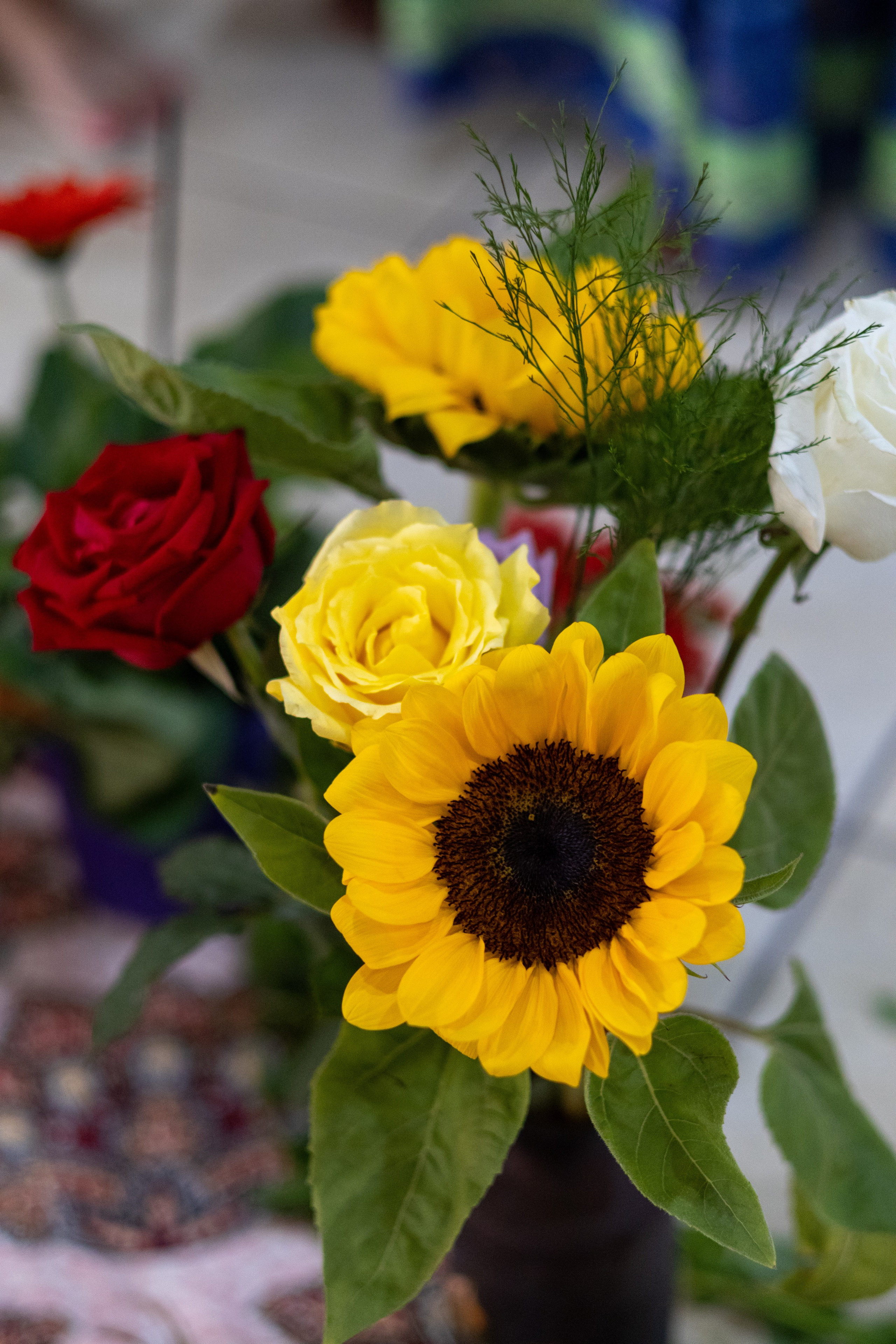 Mulheres. Edilene Silva Fotografa Profissional