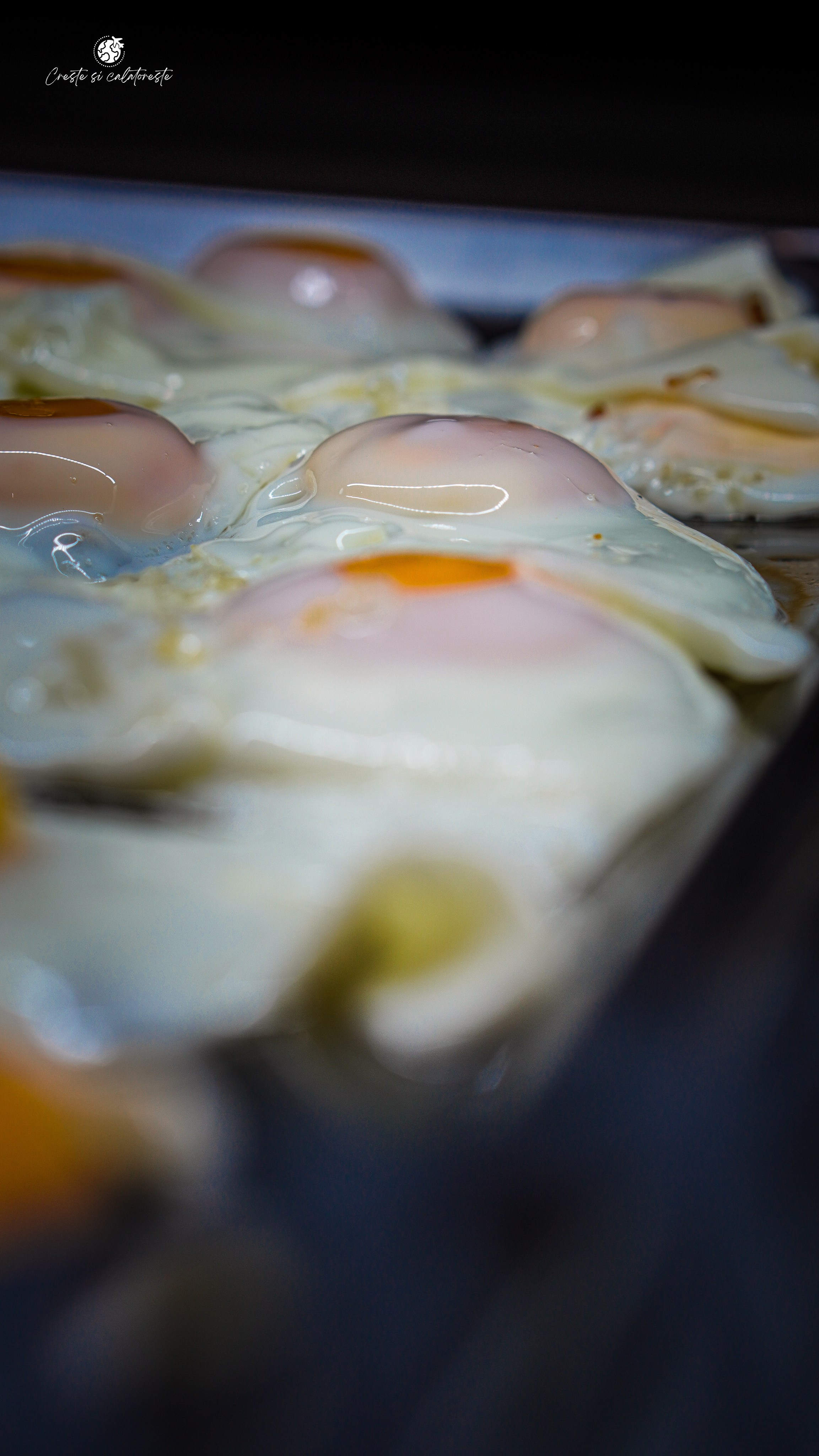 Bacolux Diana. Creste si calatoreste