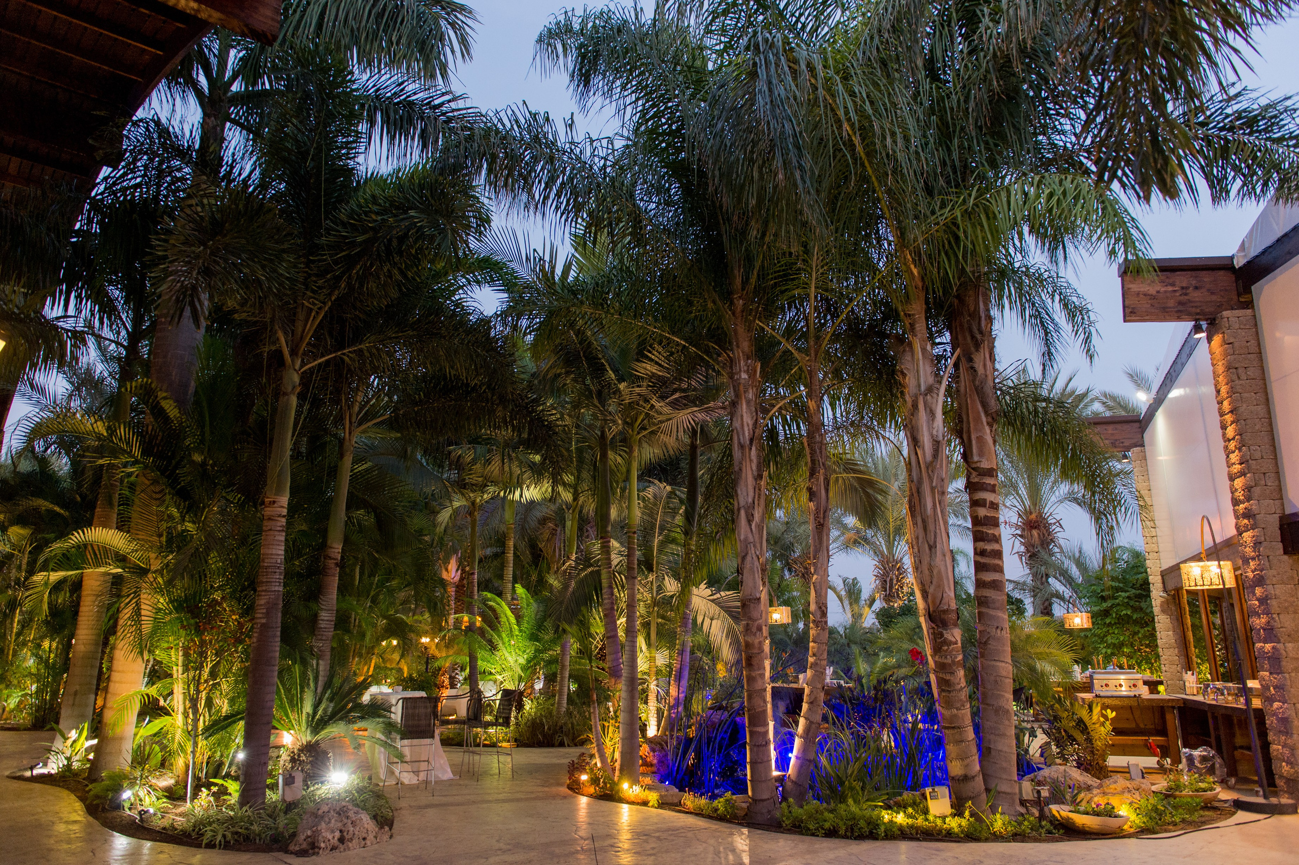 Stella & Elijahu. Wedding and events photographers Studio Shalom