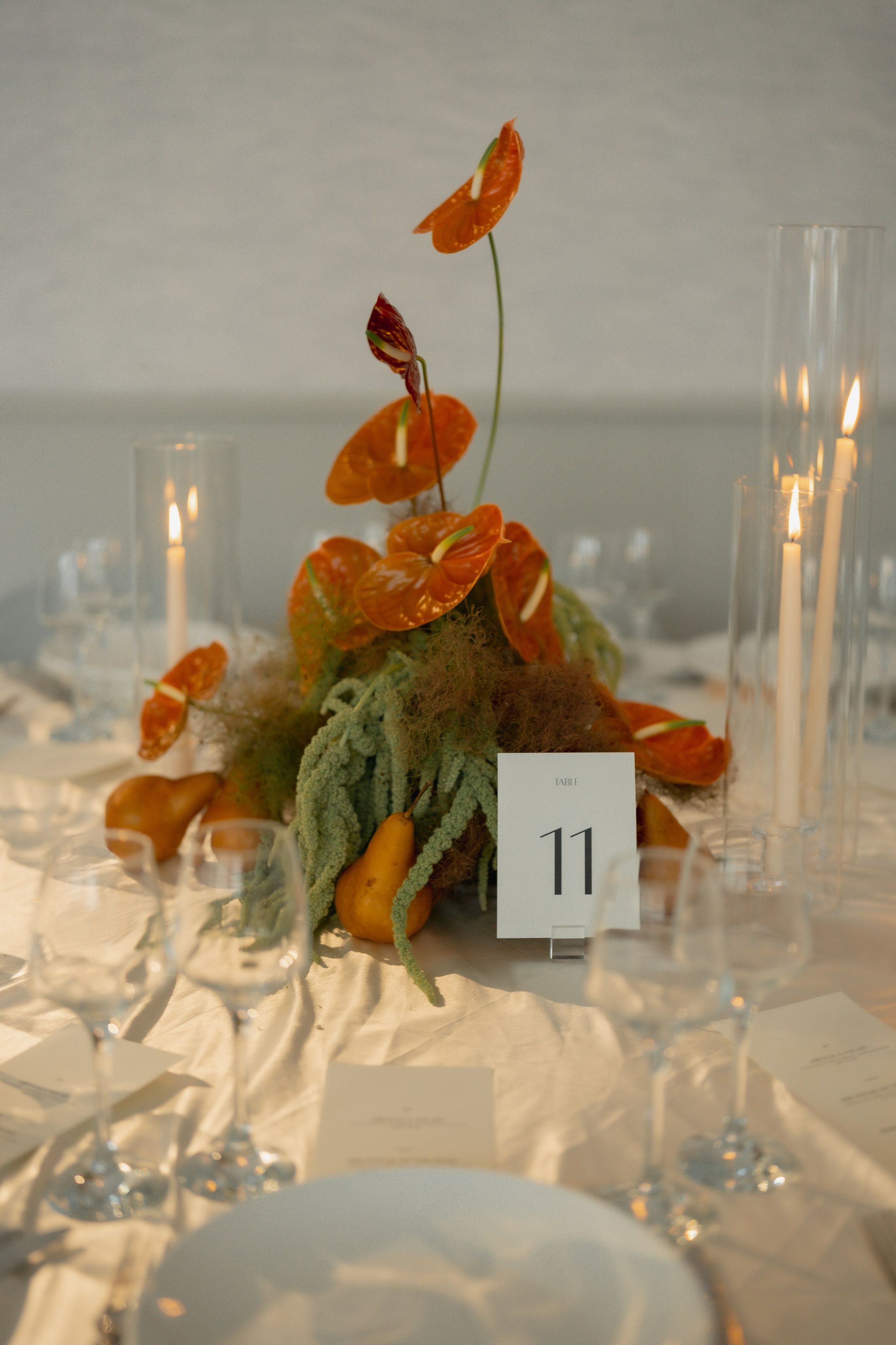 Amir and Maya. Anna Krasnova Wedding photographer