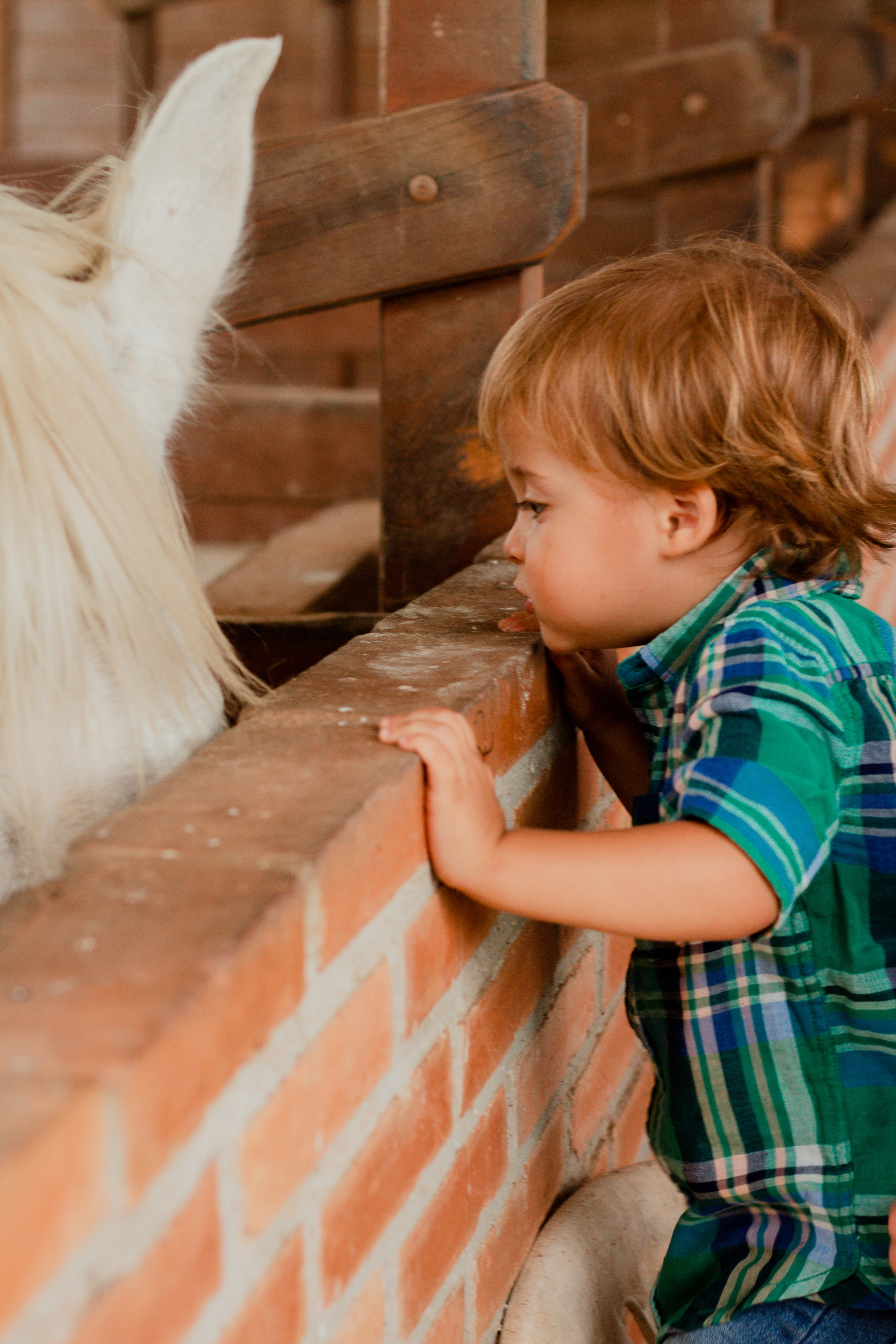 Fotografia de Aniversário Infantil em Holambra – Theo, 2 anos | Joyce Maria. Joyce Maria Fotografia | Fotógrafa em Holambra