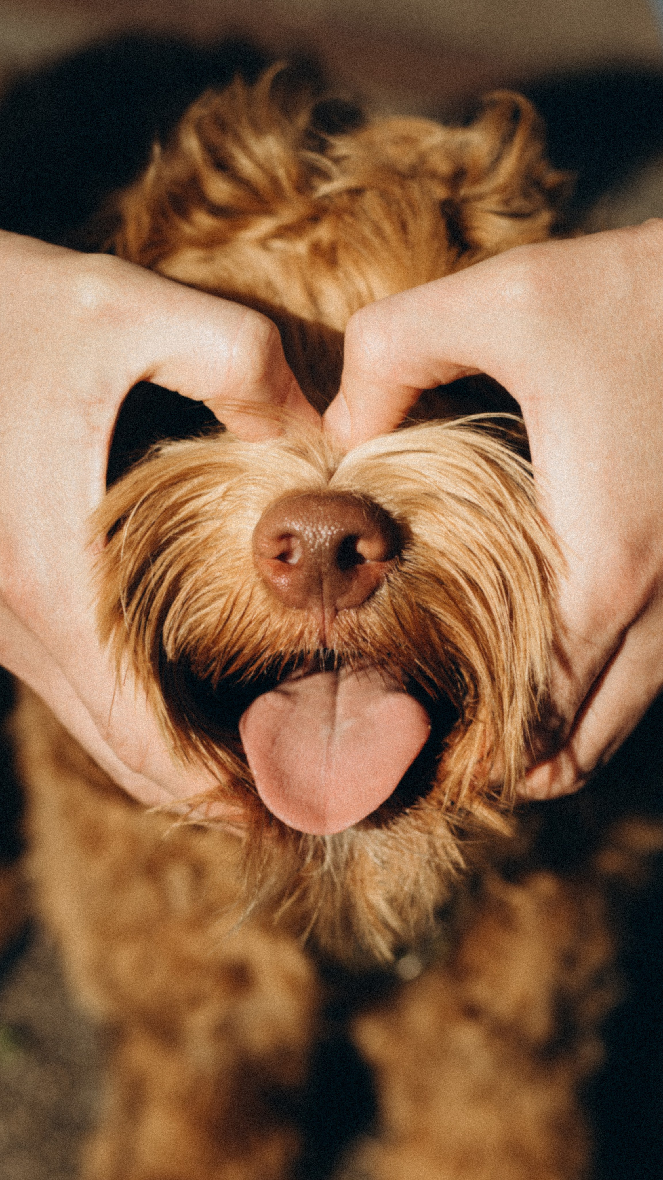 Tiere. Fotograf Düsseldorf, Köln, NRW - Kristina Braudo