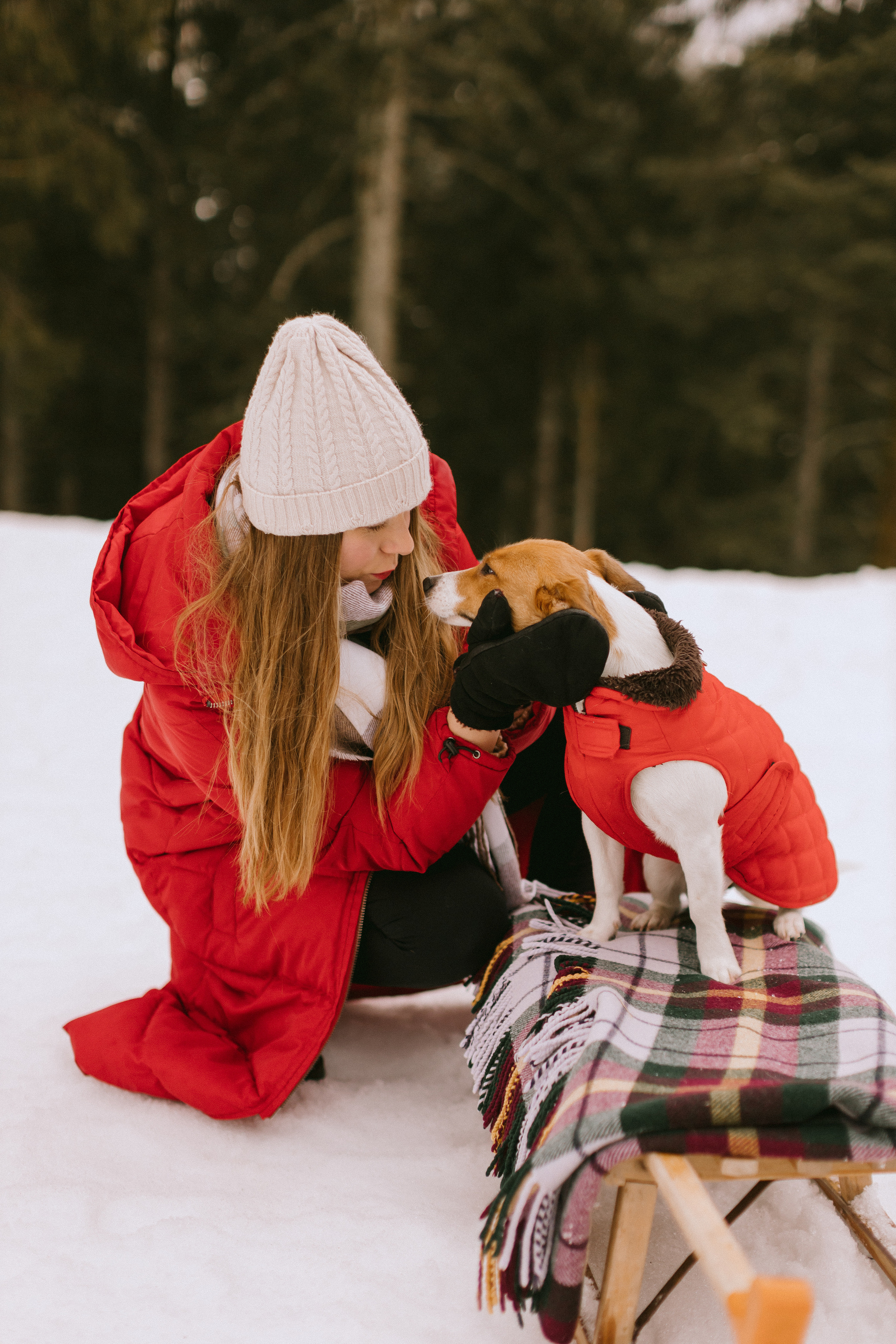 Семейная фотосессия в зимнем лесу. Фотограф в Германии — Мария Чистякова