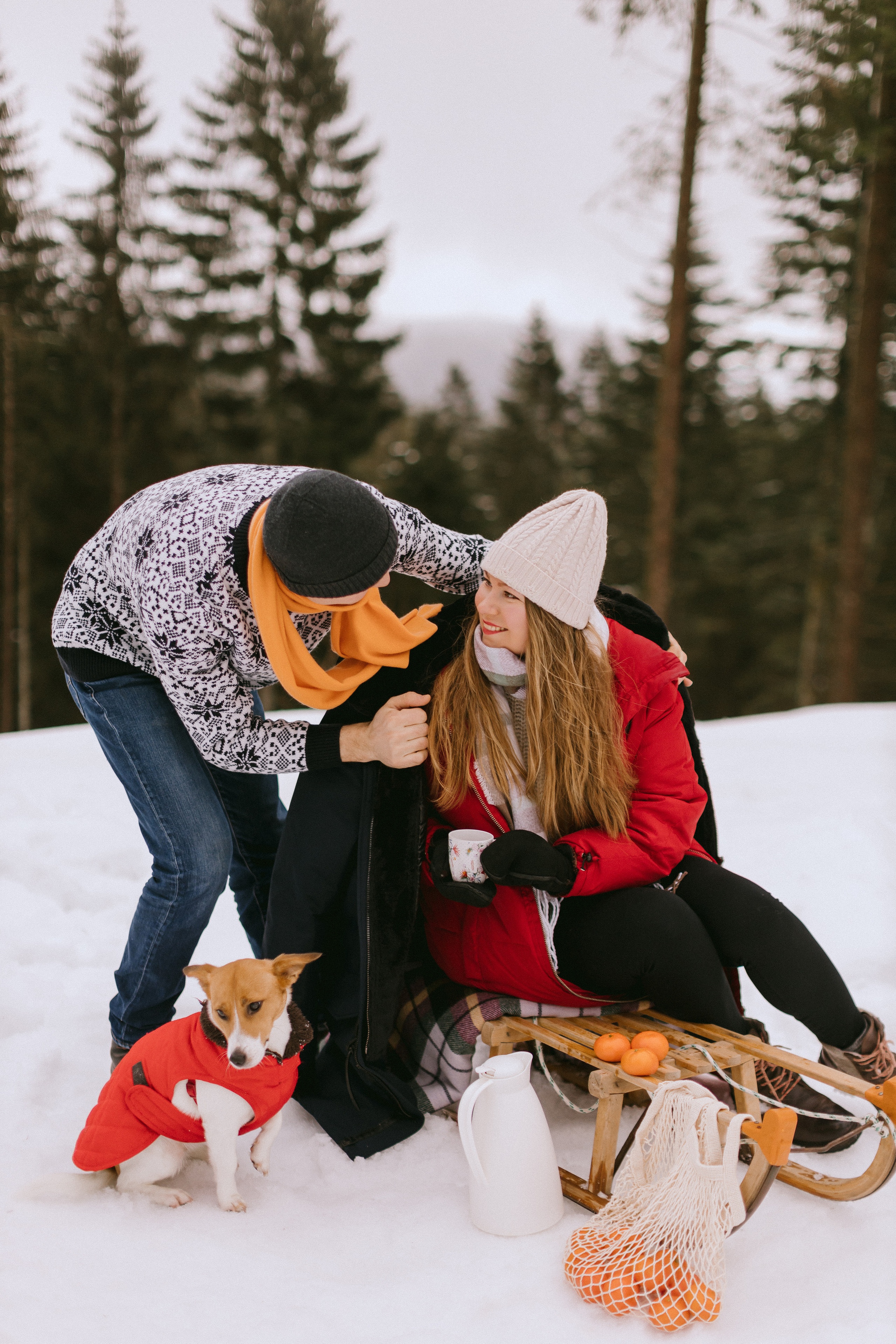 Семейная фотосессия в зимнем лесу. Фотограф в Германии — Мария Чистякова