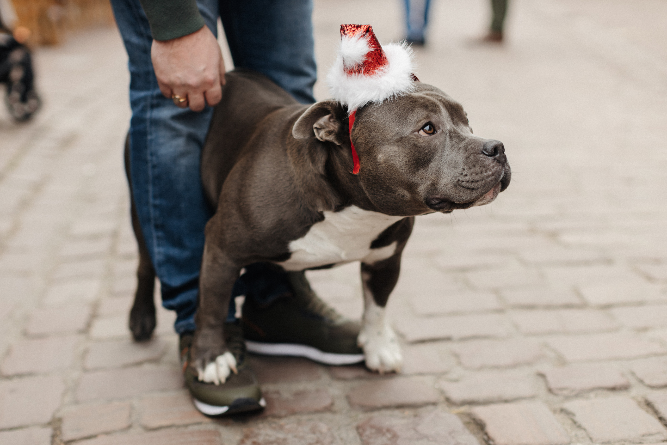 Babybauch-Fotoshooting in Colmar. Maria Chistyakovа — Fotografin in Karlsruhe, Baden-Baden und Umgebung
