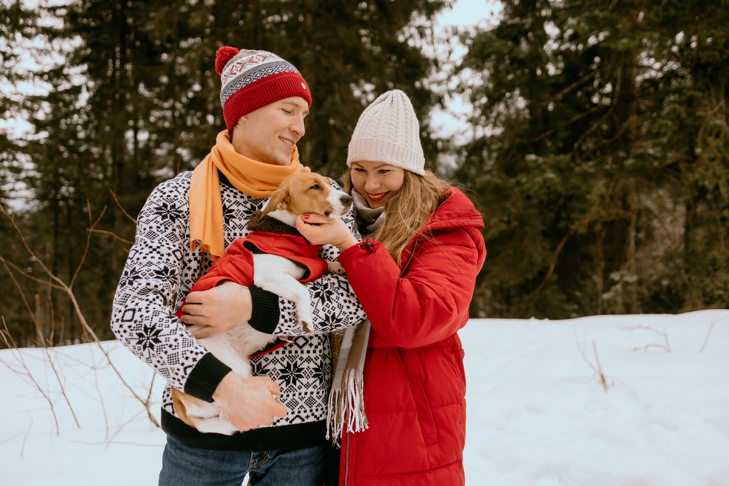 Семейная фотосессия в зимнем лесу. Фотограф в Германии — Мария Чистякова