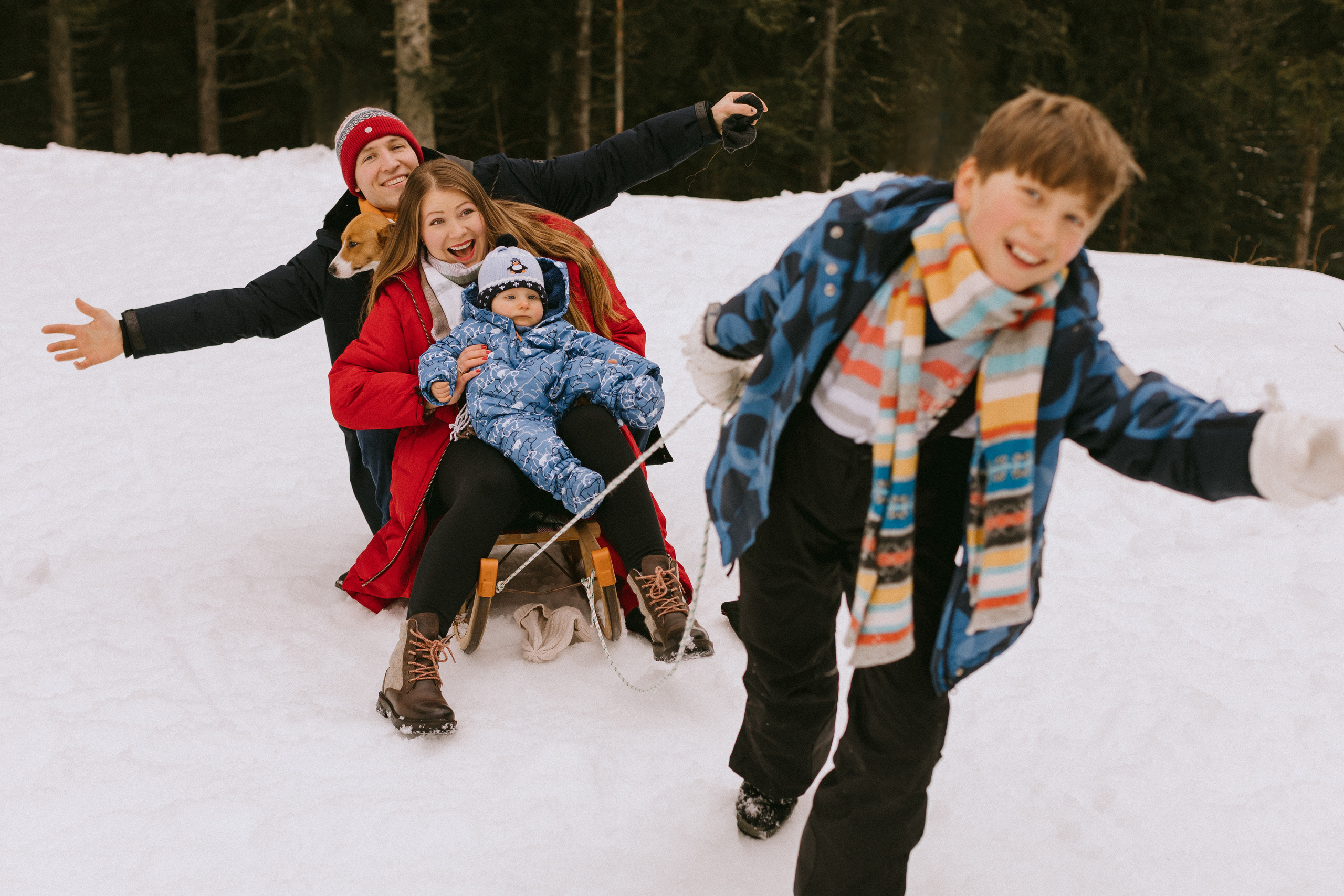 Семейная фотосессия в зимнем лесу. Фотограф в Германии — Мария Чистякова