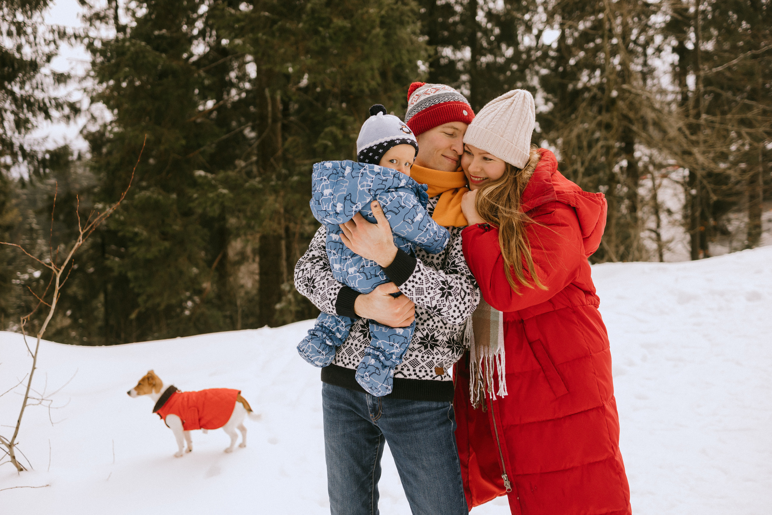 Семейная фотосессия в зимнем лесу. Фотограф в Германии — Мария Чистякова