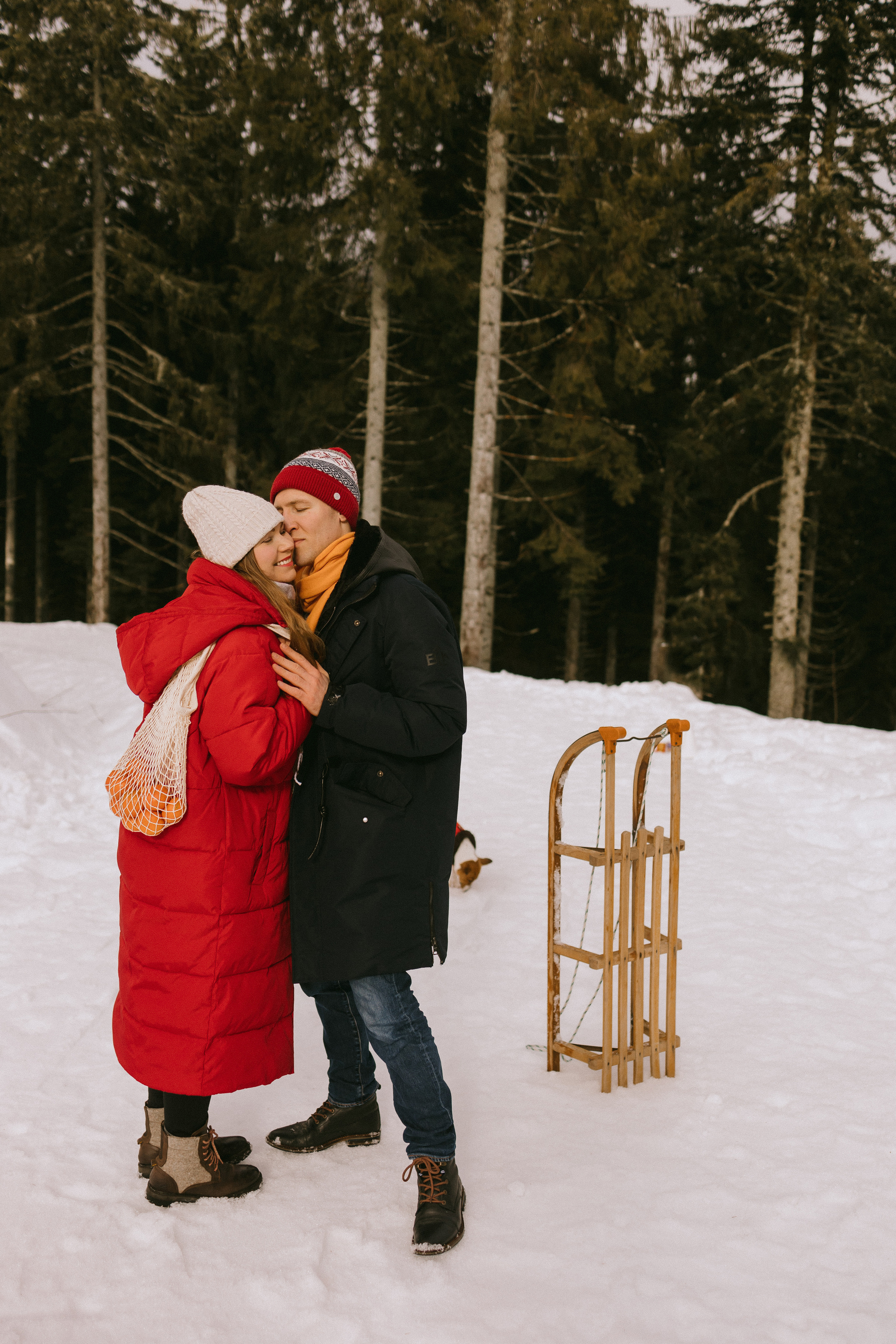 Семейная фотосессия в зимнем лесу. Фотограф в Германии — Мария Чистякова