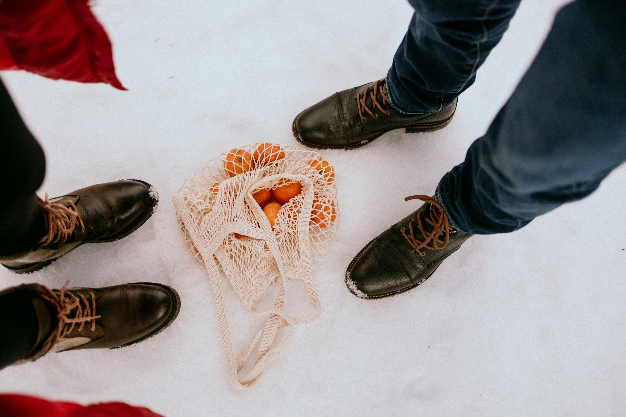Семейная фотосессия в зимнем лесу. Фотограф в Германии — Мария Чистякова
