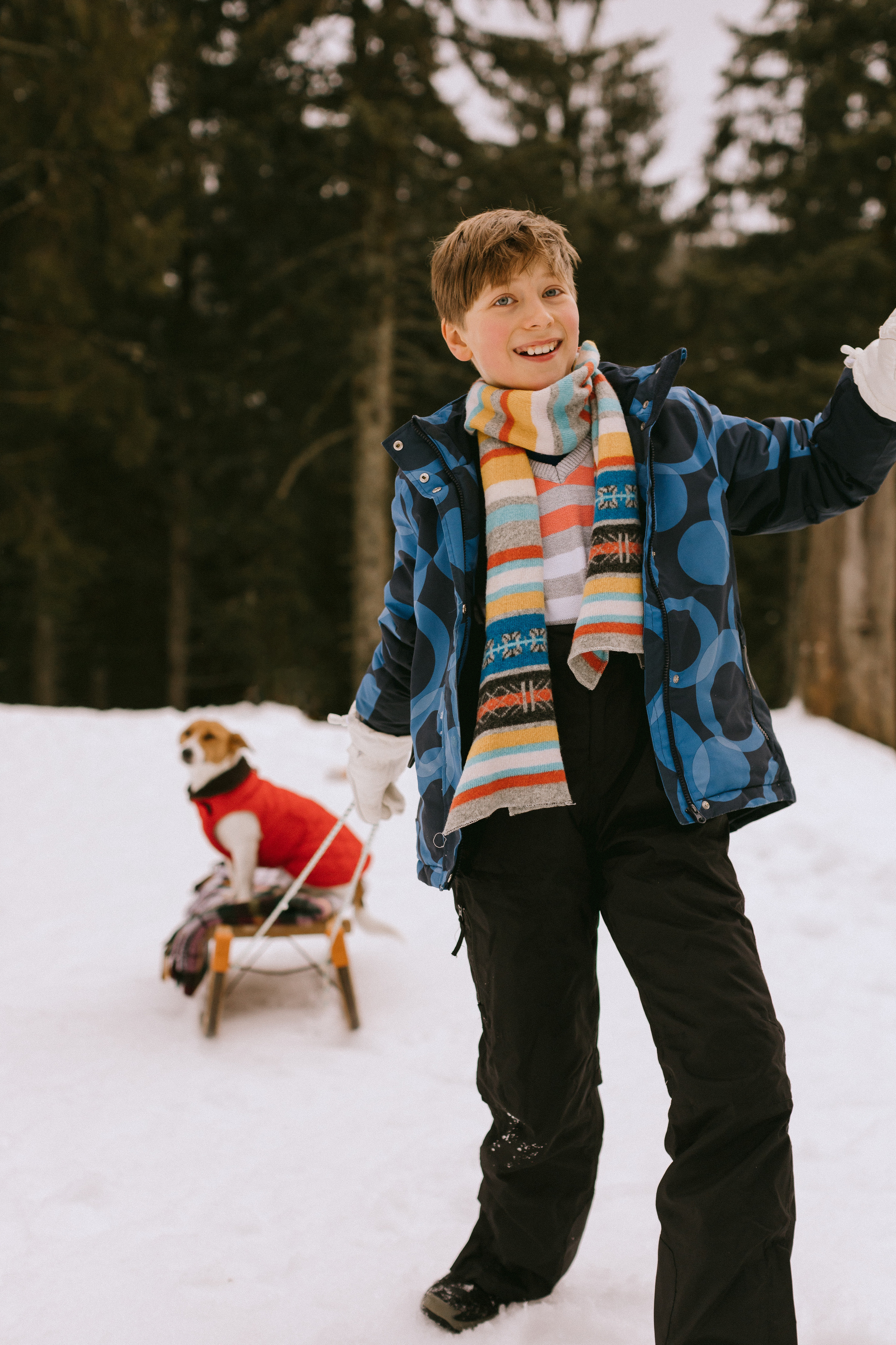 Семейная фотосессия в зимнем лесу. Фотограф в Германии — Мария Чистякова