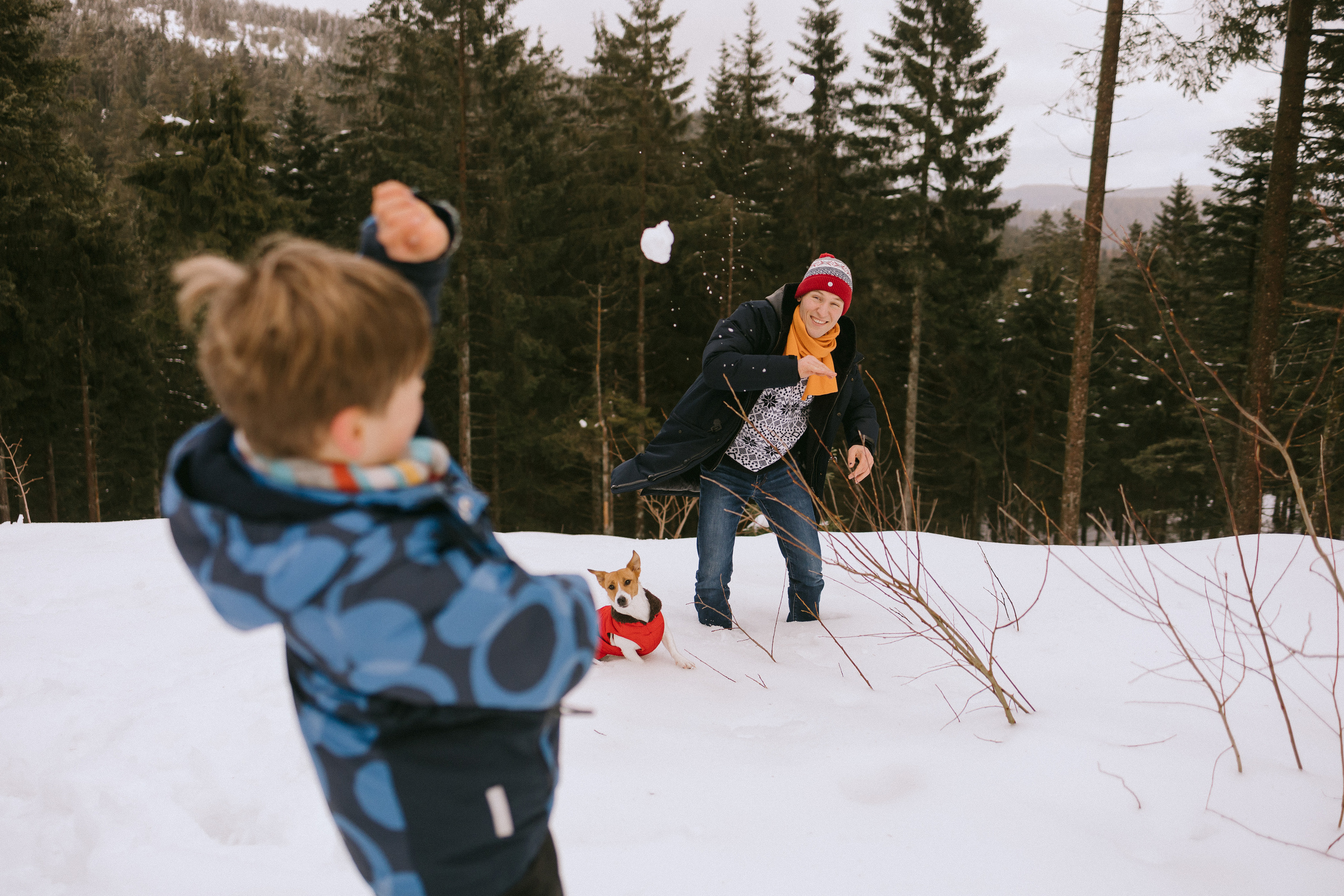 Семейная фотосессия в зимнем лесу. Фотограф в Германии — Мария Чистякова